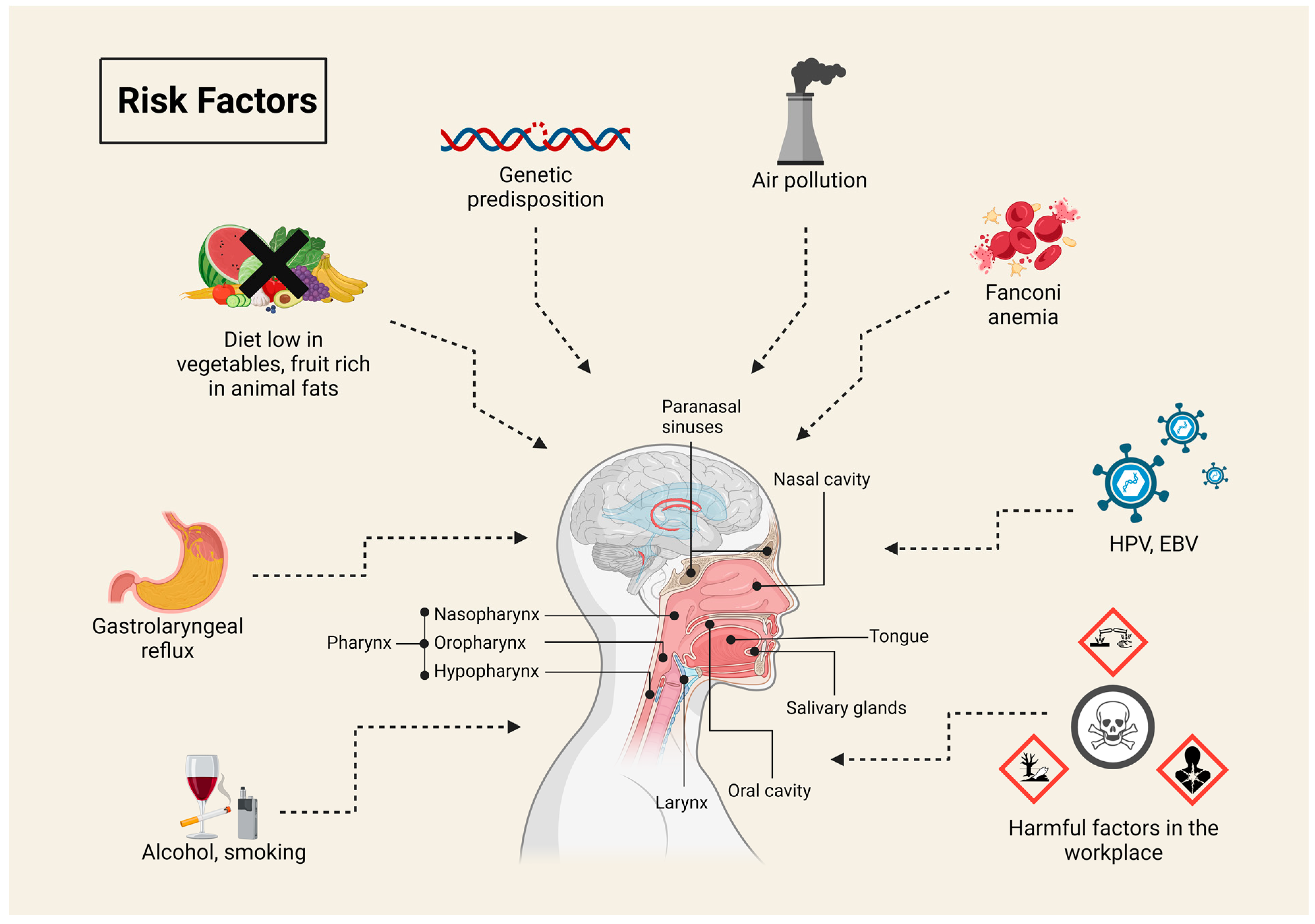 Pharmaceuticals 17 01308 g001 Pharmaceuticals 17 01308 g001
