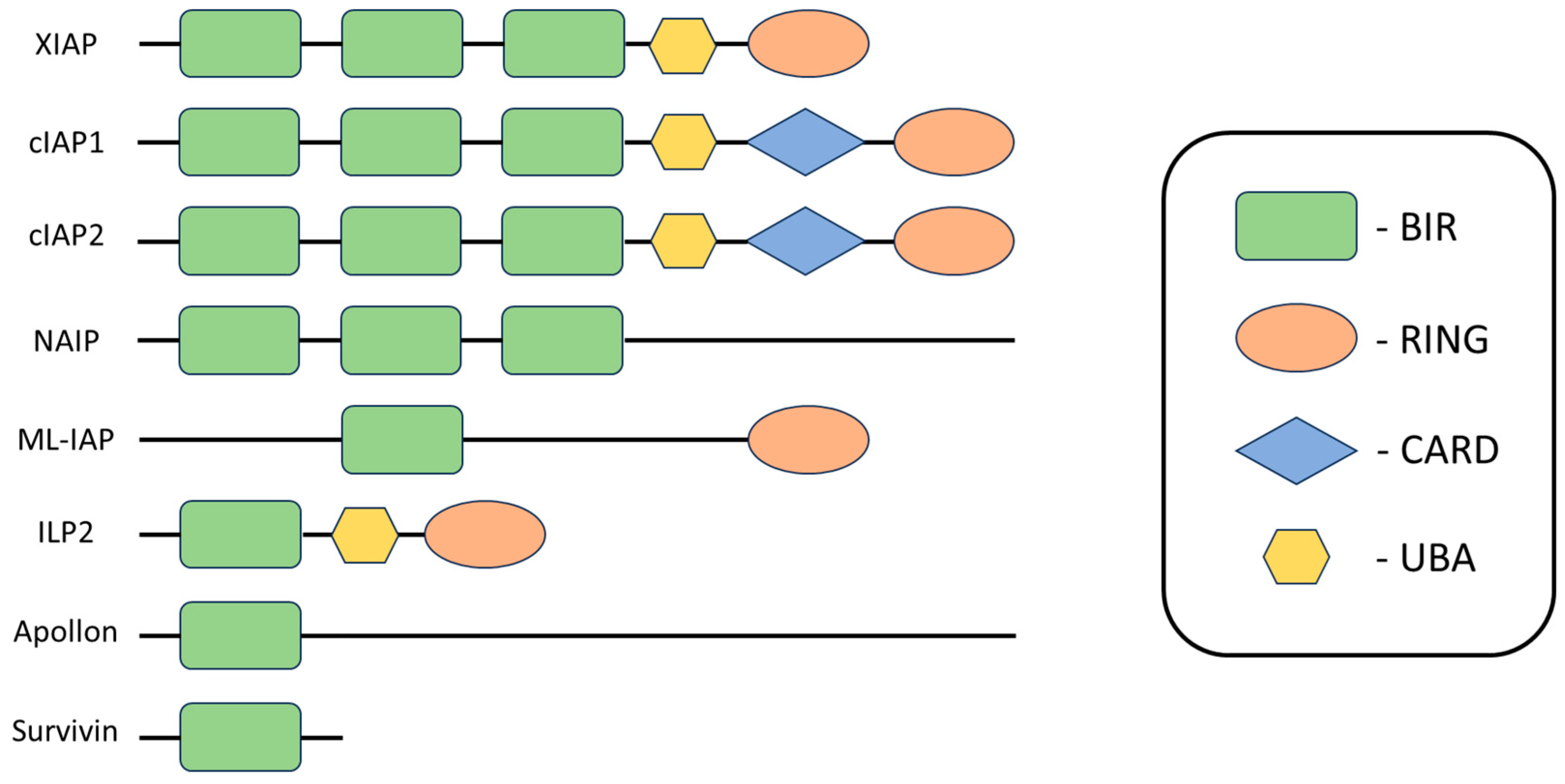 Pharmaceuticals 17 01308 g003 Pharmaceuticals 17 01308 g003
