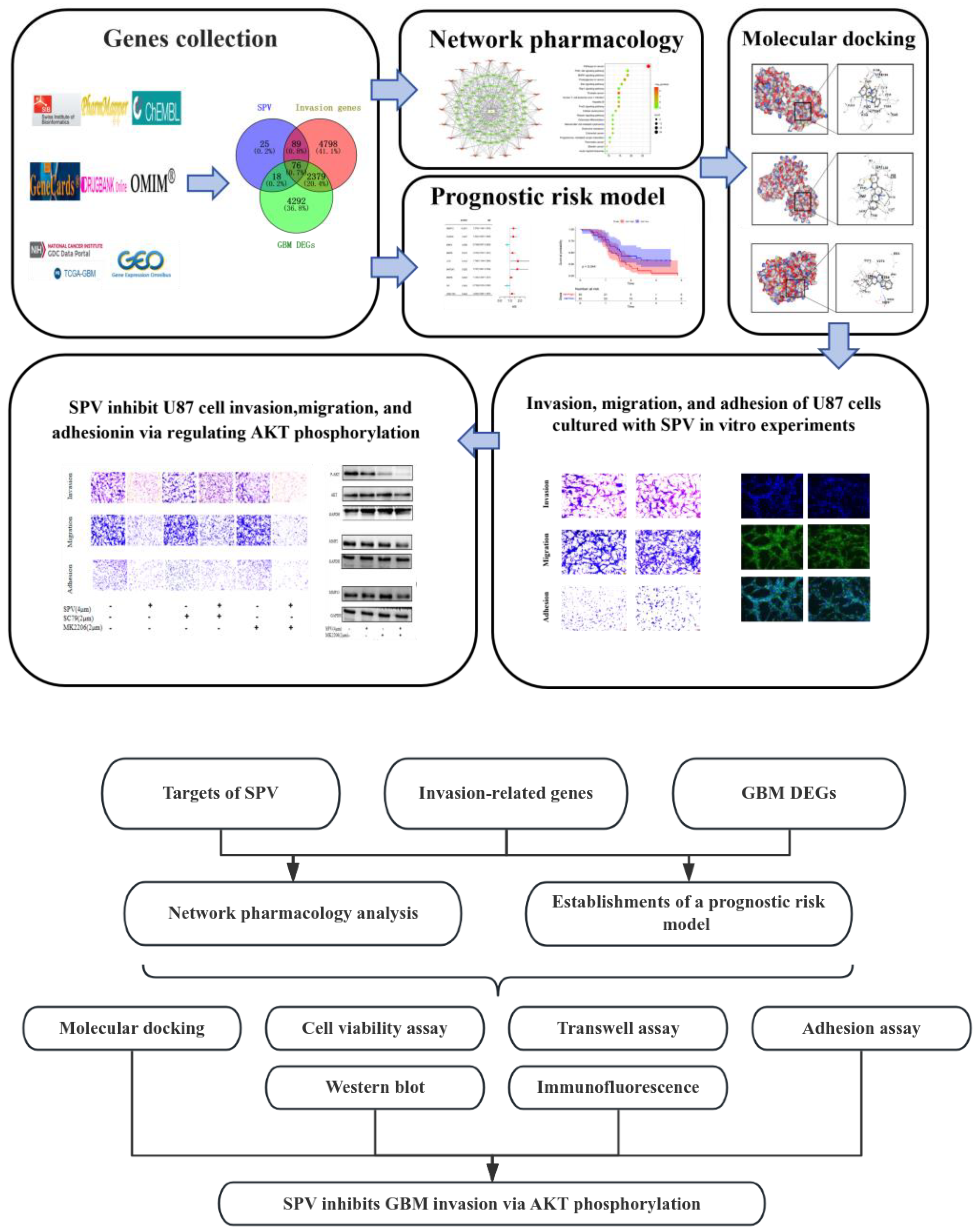 Pharmaceuticals 17 01318 g001