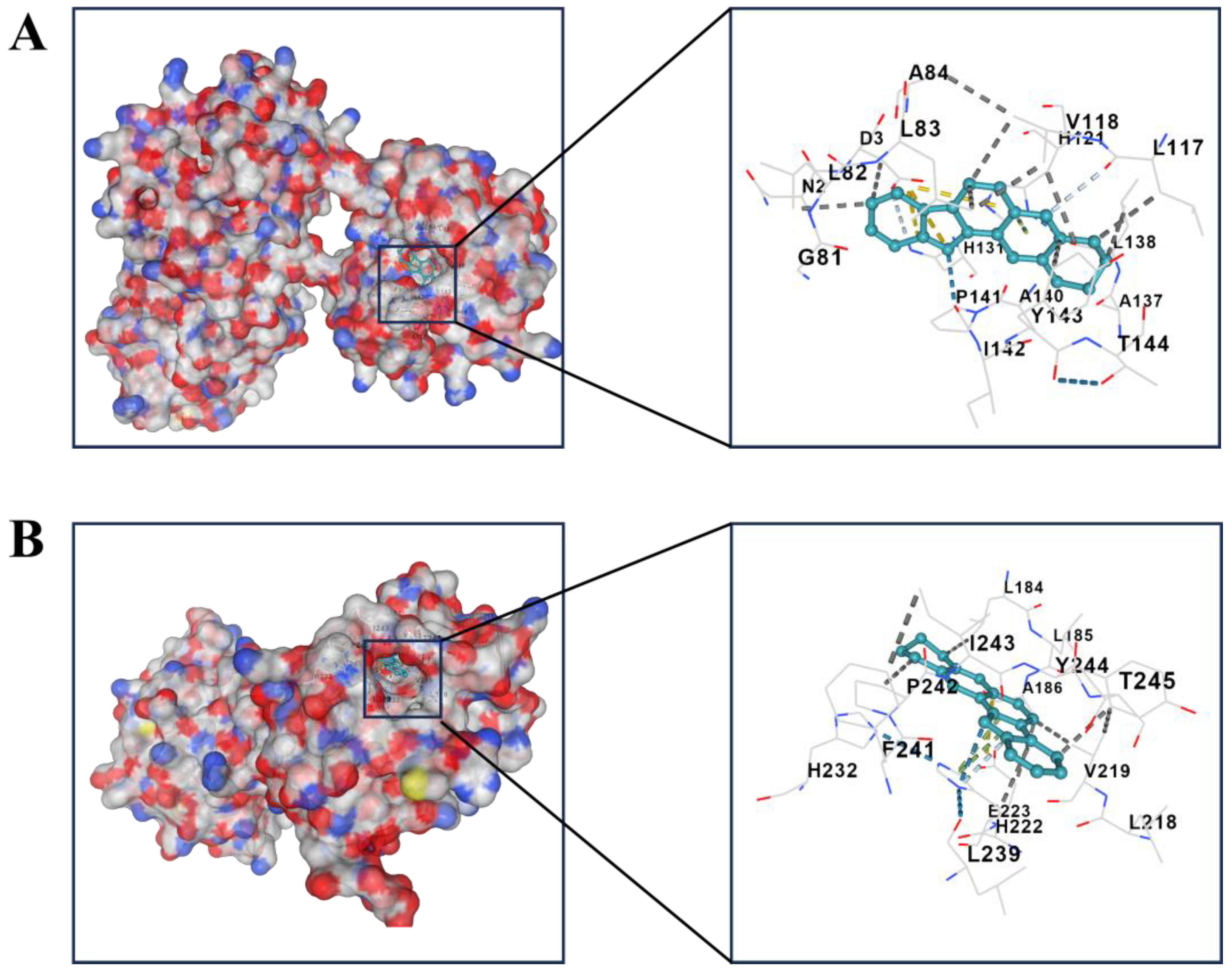Pharmaceuticals 17 01318 g005a