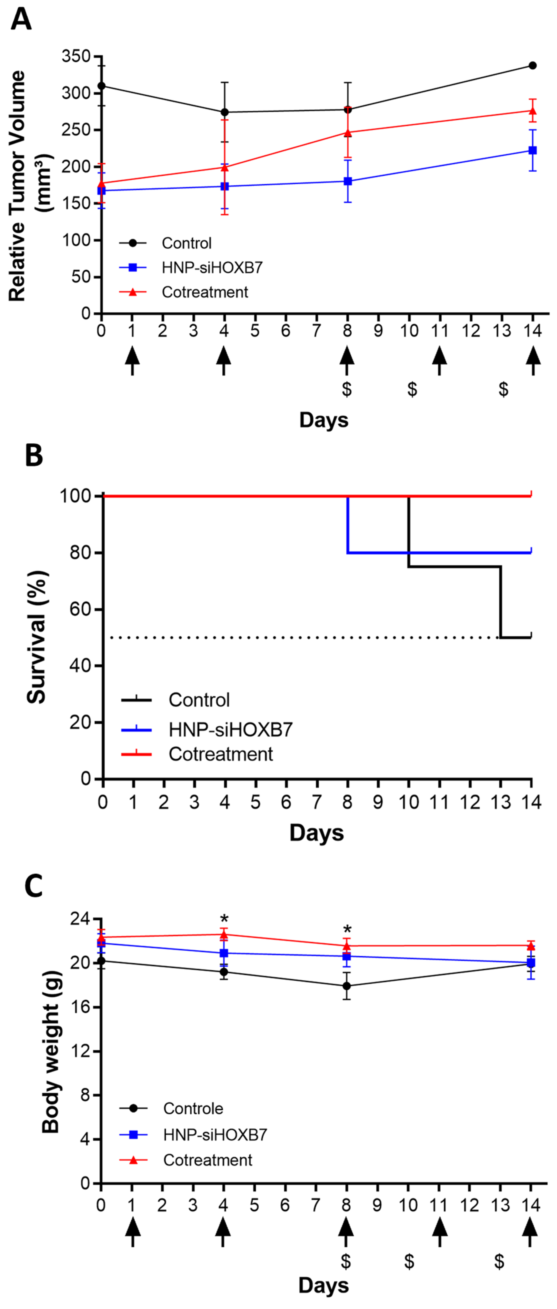 Pharmaceuticals 17 01325 g008