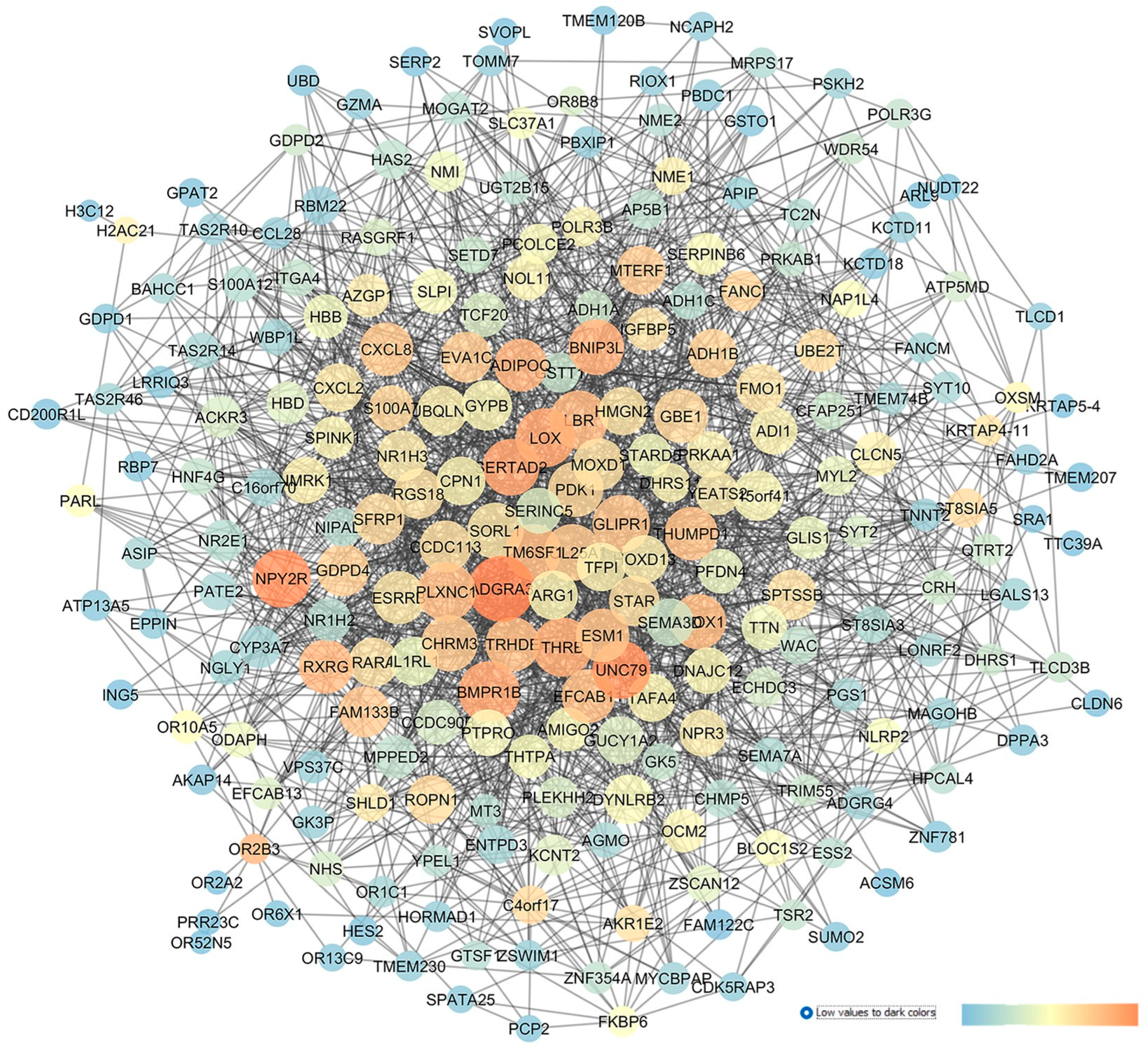 Pharmaceuticals 17 01333 g006