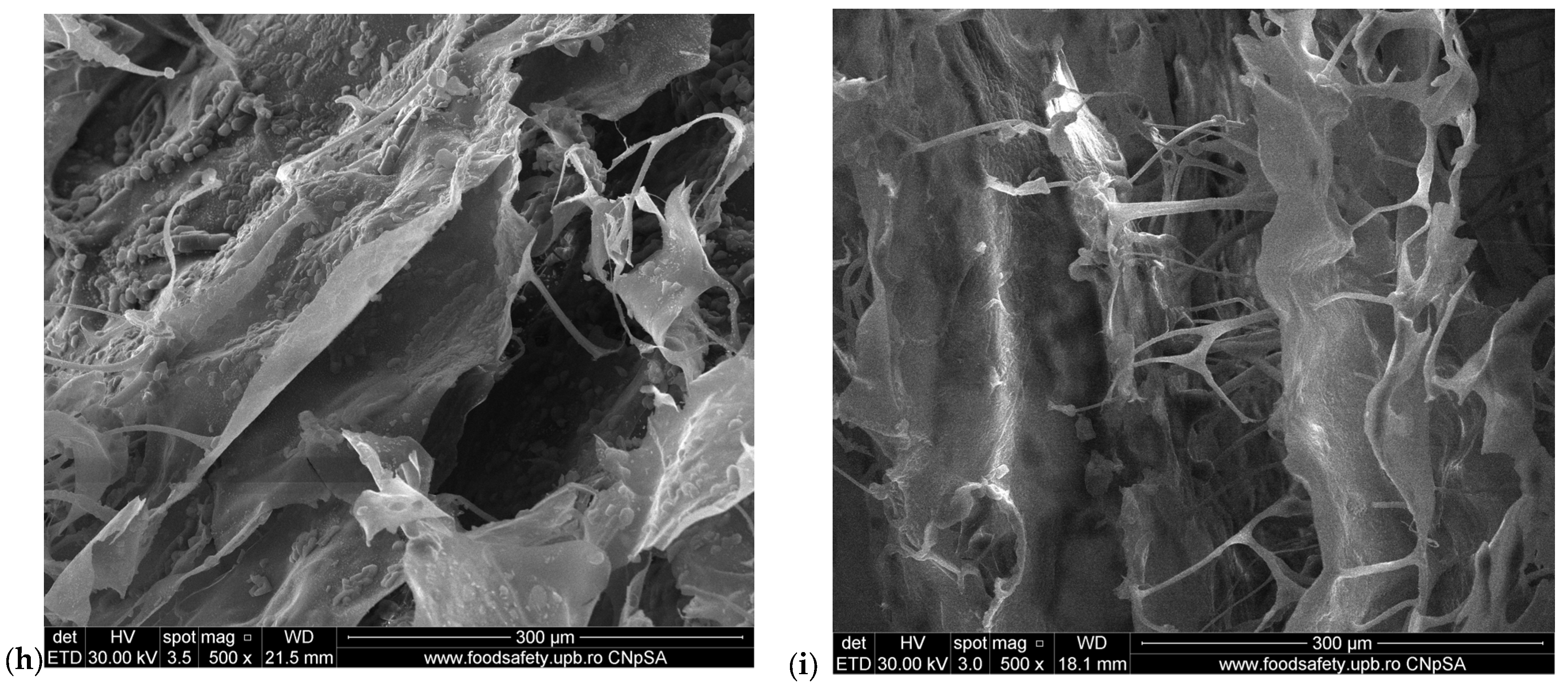 Pharmaceuticals 17 01336 g002b Pharmaceuticals 17 01336 g002b