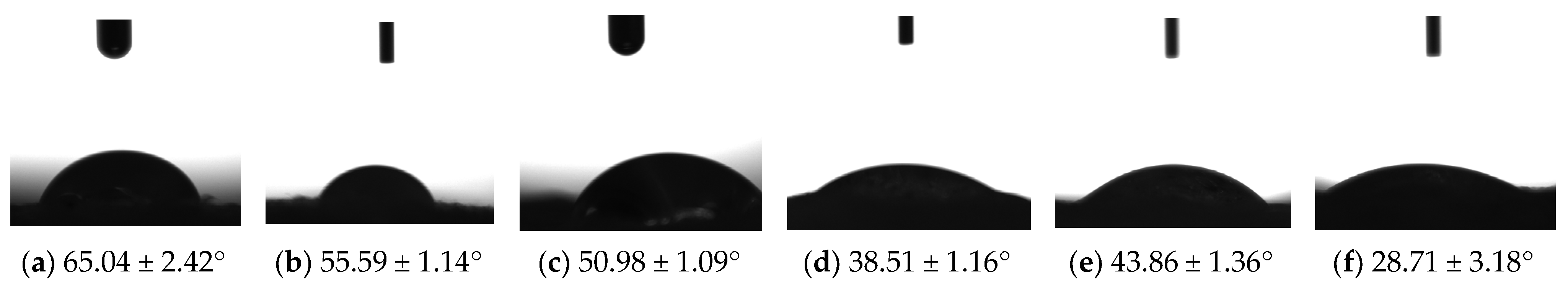 Pharmaceuticals 17 01336 g004 Pharmaceuticals 17 01336 g004