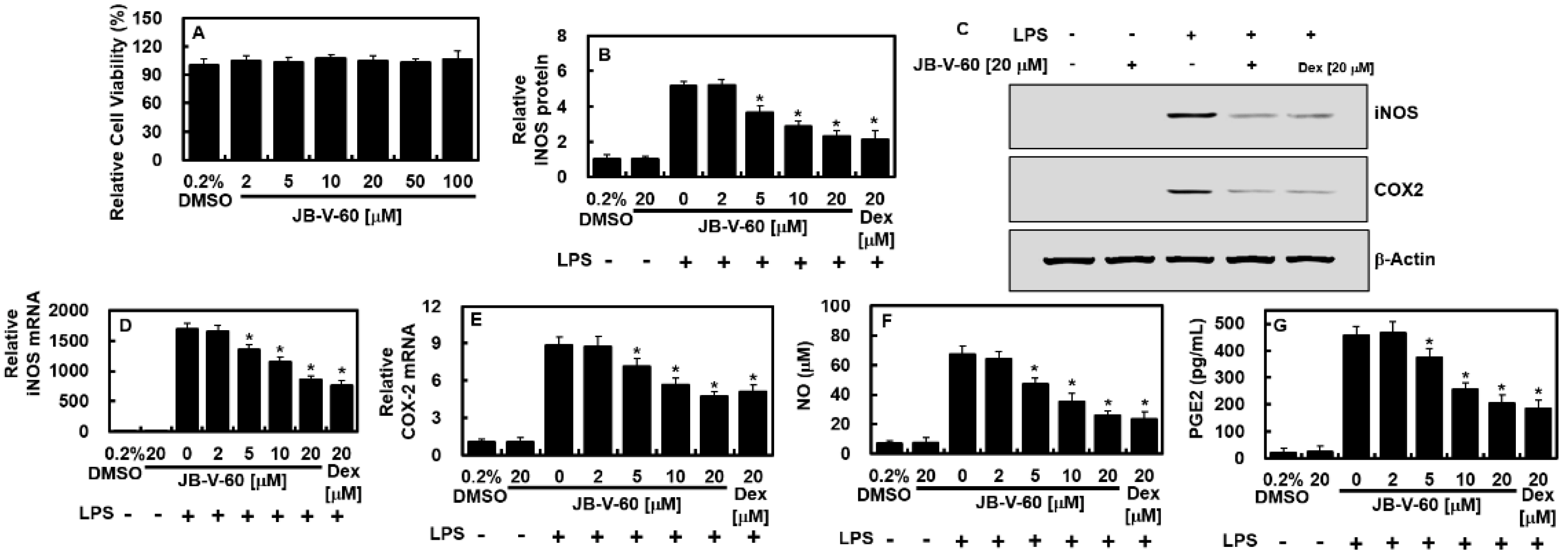 Pharmaceuticals 17 01337 g002