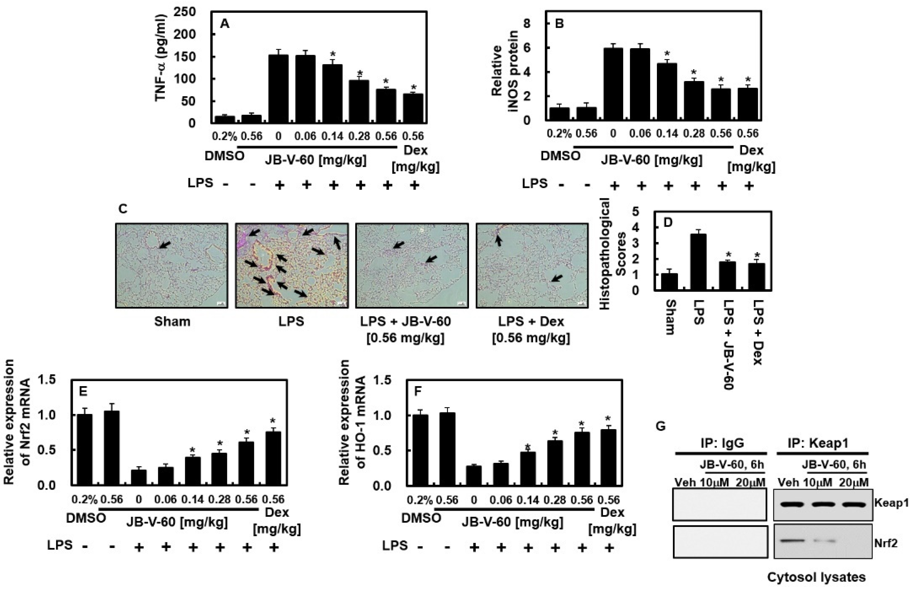 Pharmaceuticals 17 01337 g005