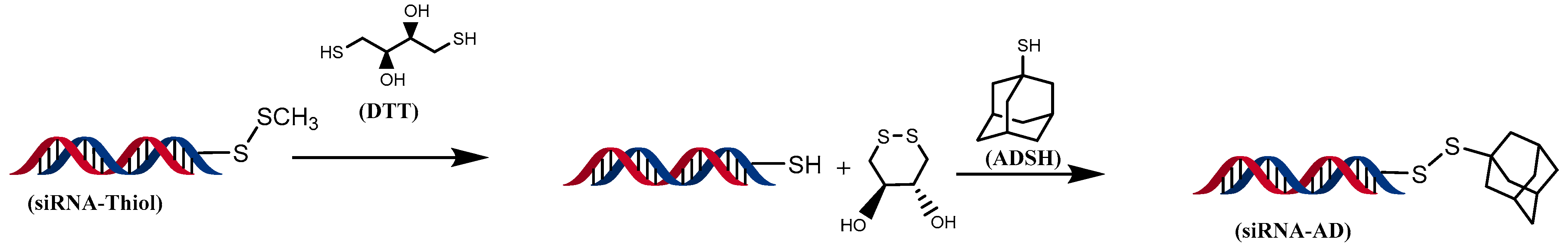 Pharmaceuticals 17 01344 sch003