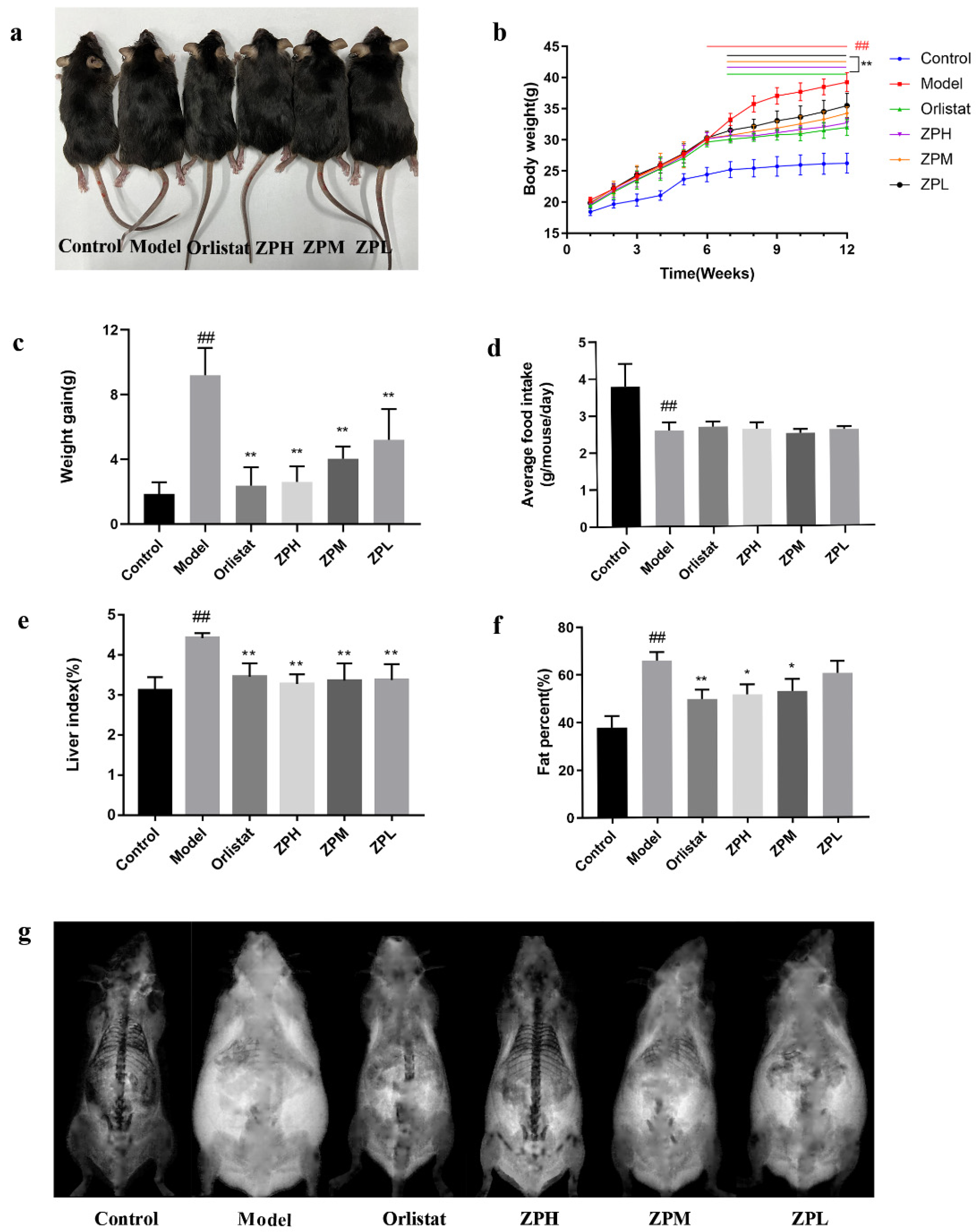 Pharmaceuticals 17 01349 g002