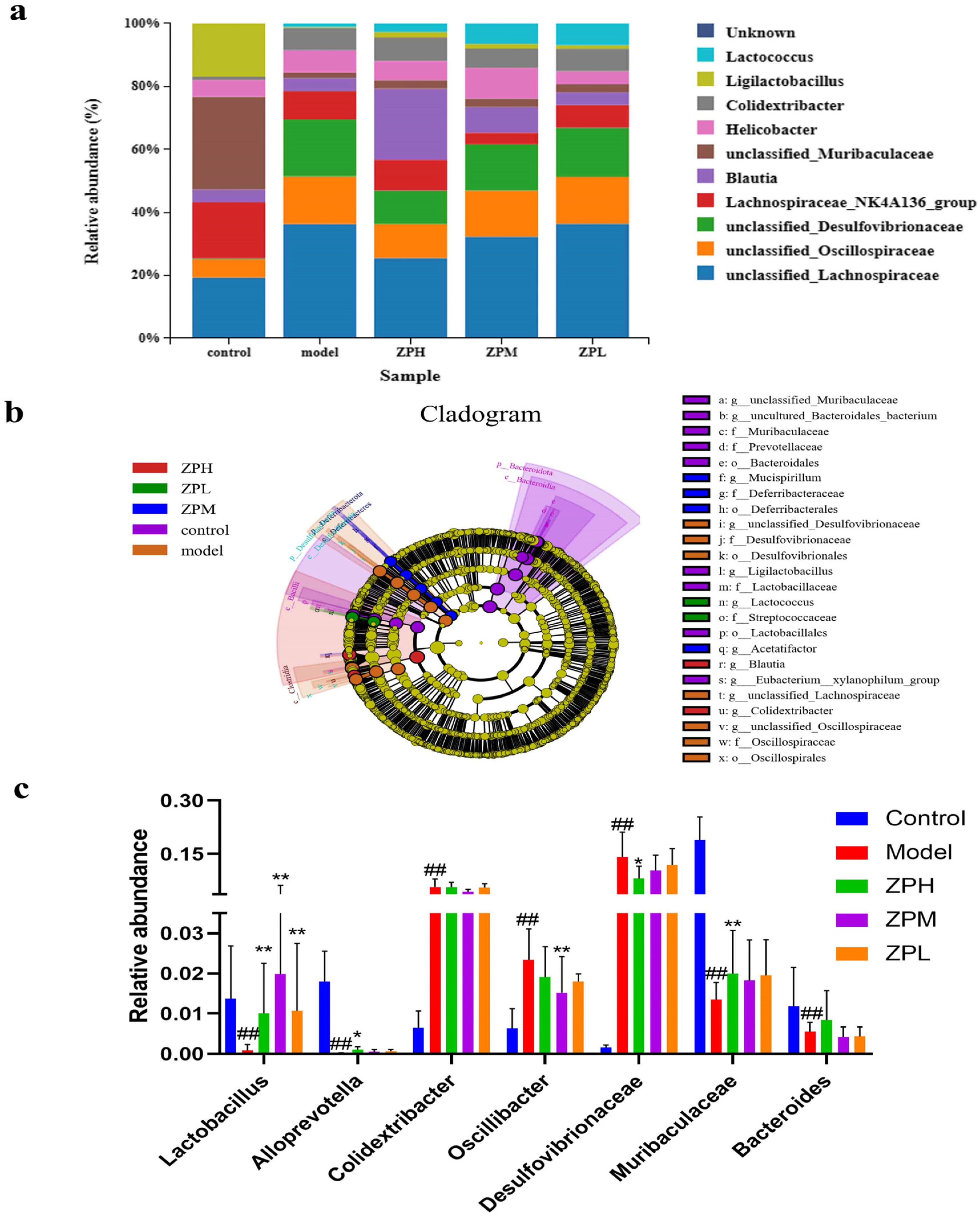 Pharmaceuticals 17 01349 g006