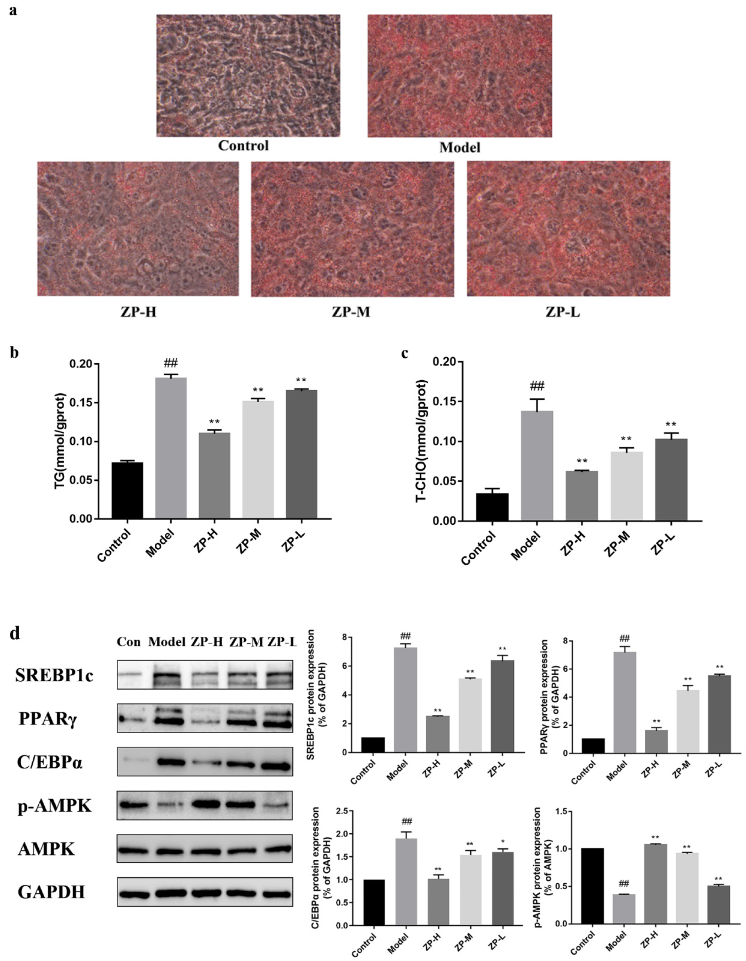 Pharmaceuticals 17 01349 g009