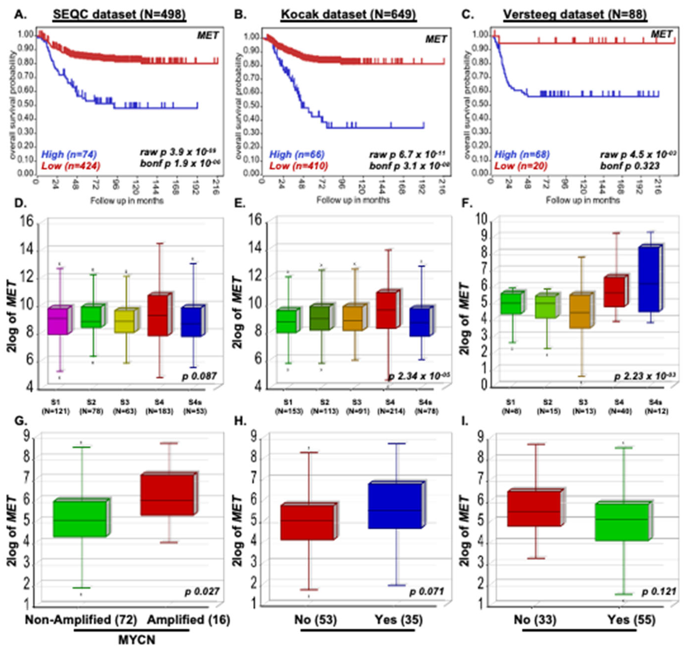 Pharmaceuticals 17 01350 g001 Pharmaceuticals 17 01350 g001