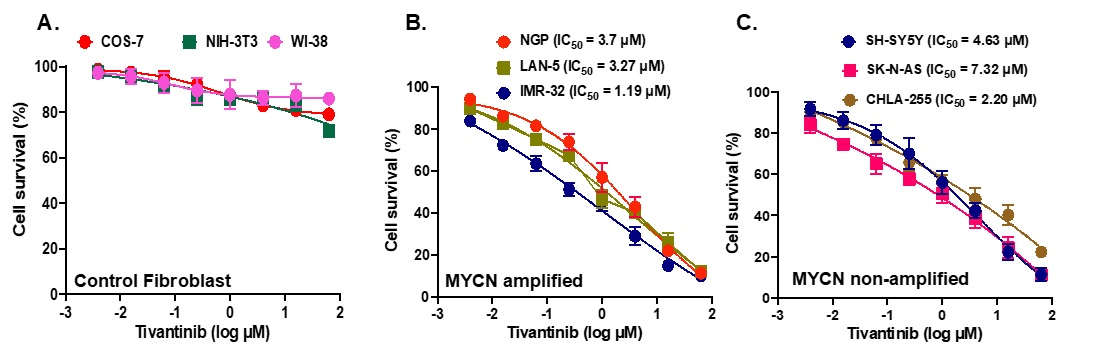 Pharmaceuticals 17 01350 g002 Pharmaceuticals 17 01350 g002