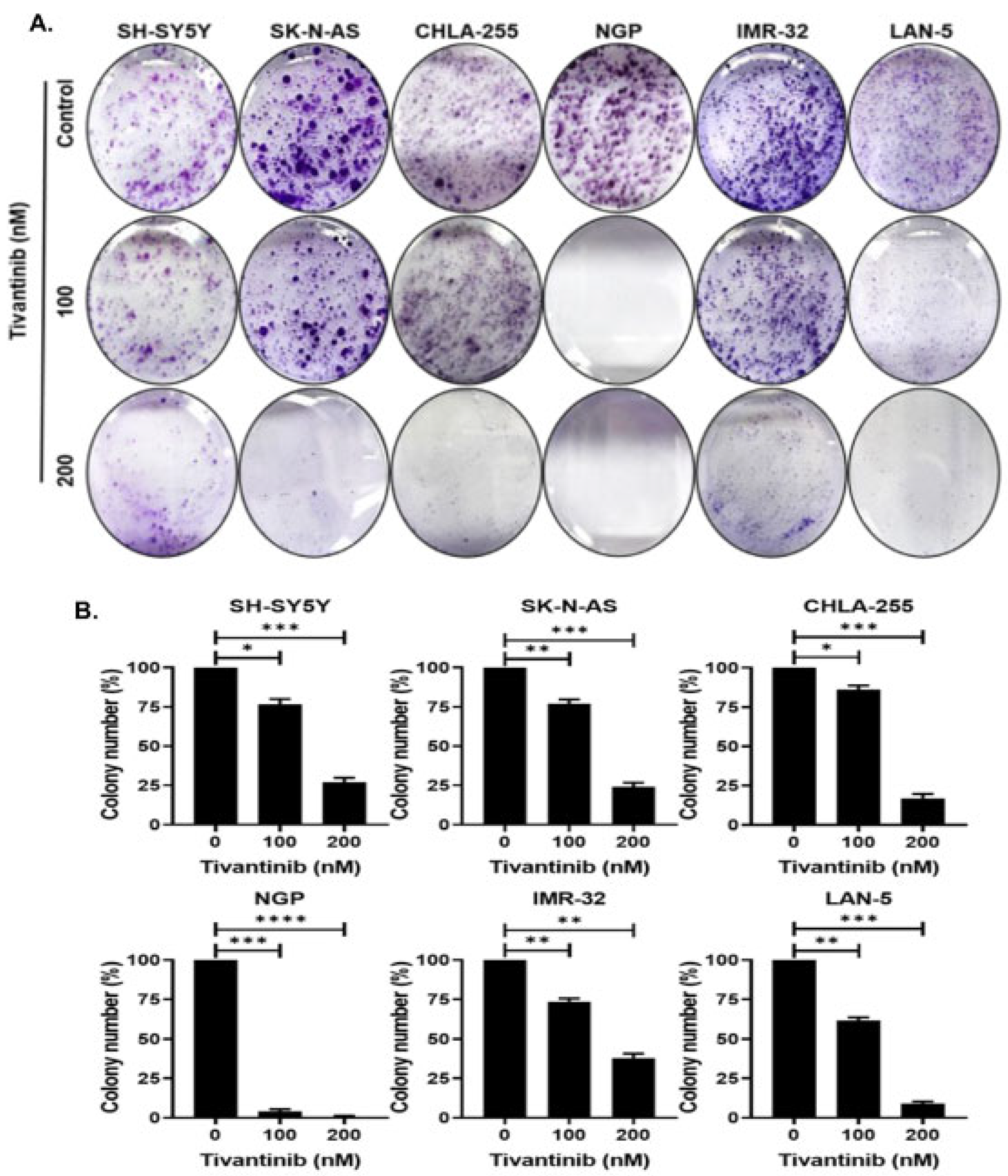 Pharmaceuticals 17 01350 g003 Pharmaceuticals 17 01350 g003