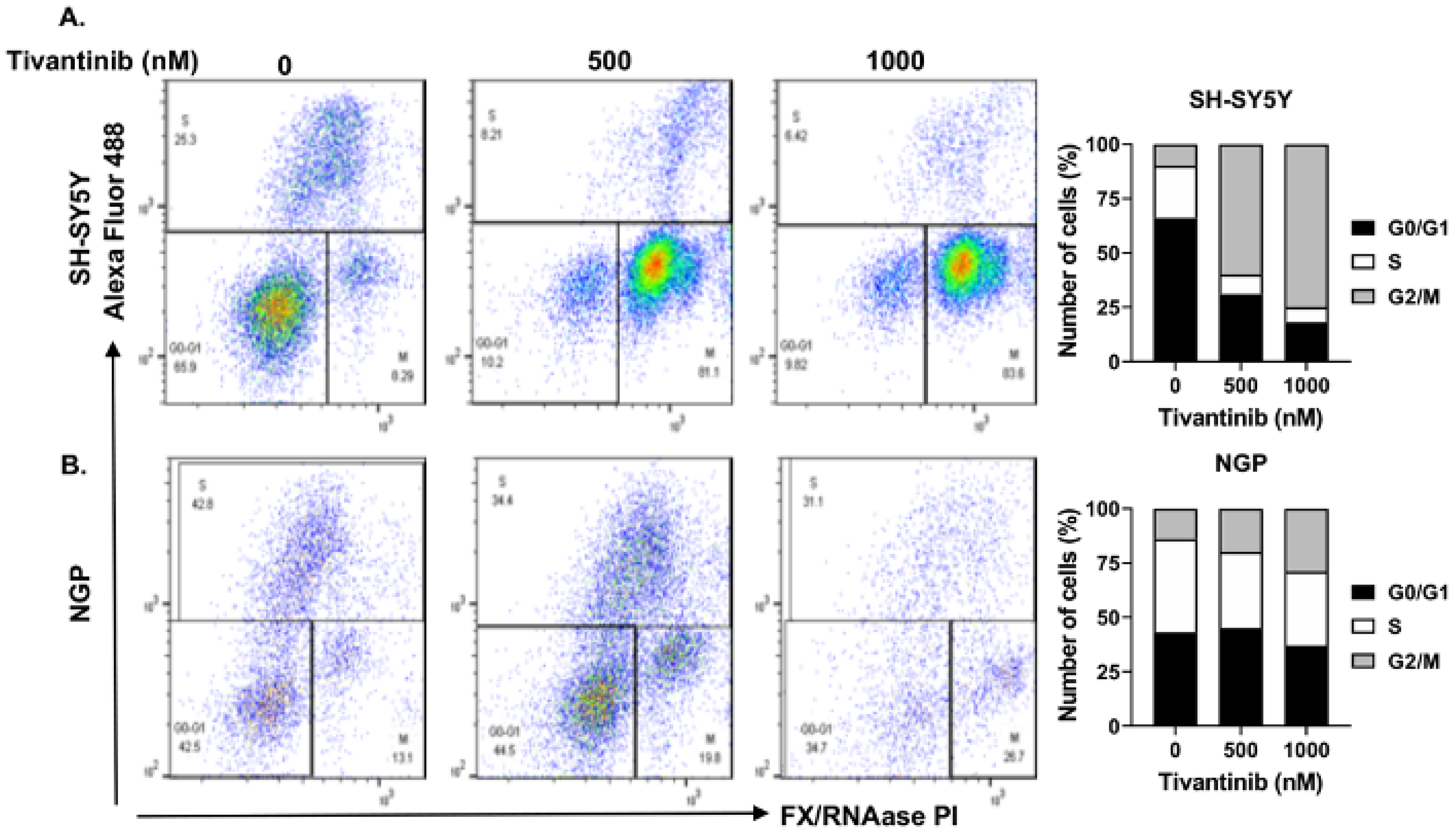 Pharmaceuticals 17 01350 g005 Pharmaceuticals 17 01350 g005