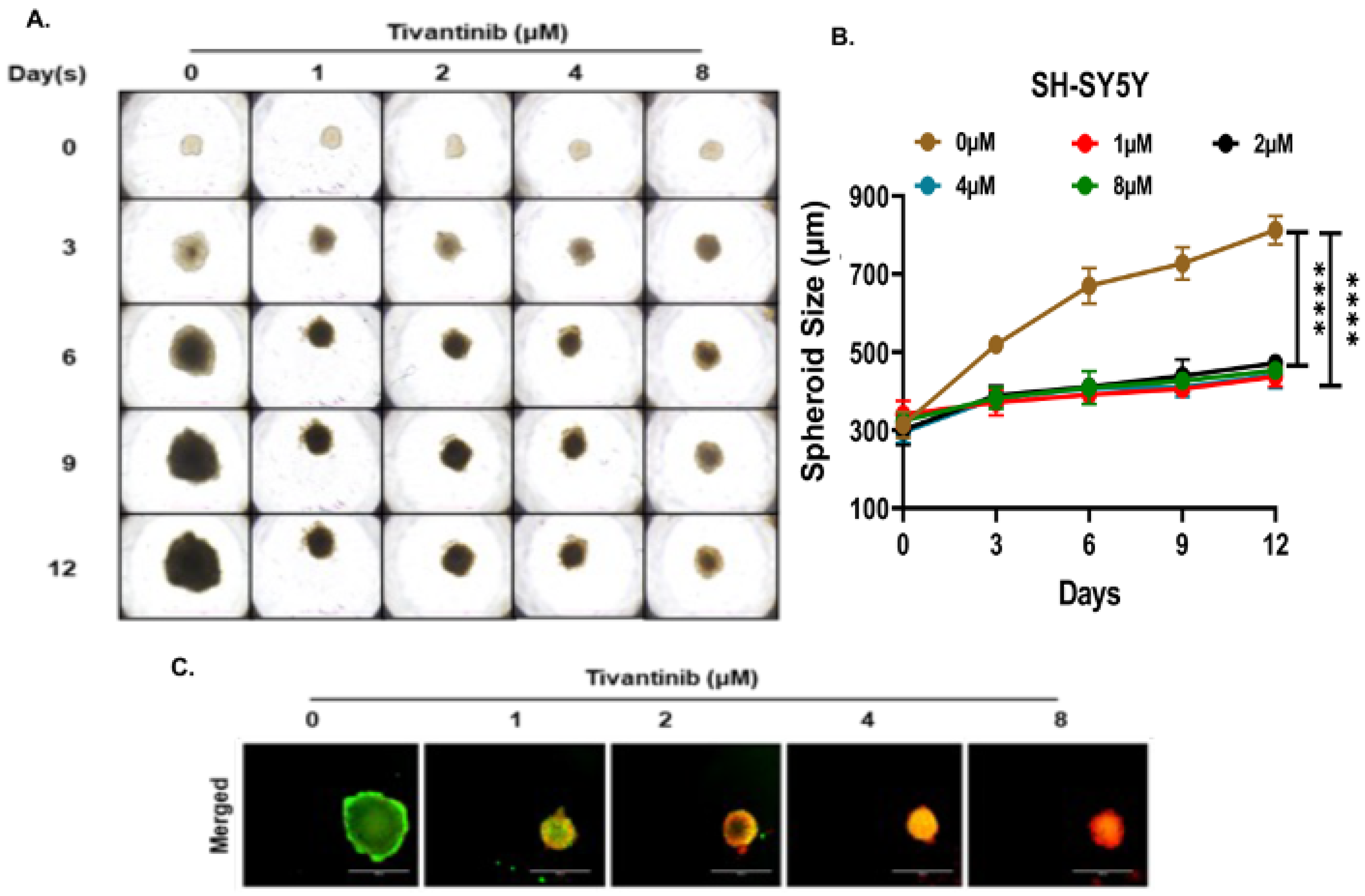 Pharmaceuticals 17 01350 g006 Pharmaceuticals 17 01350 g006