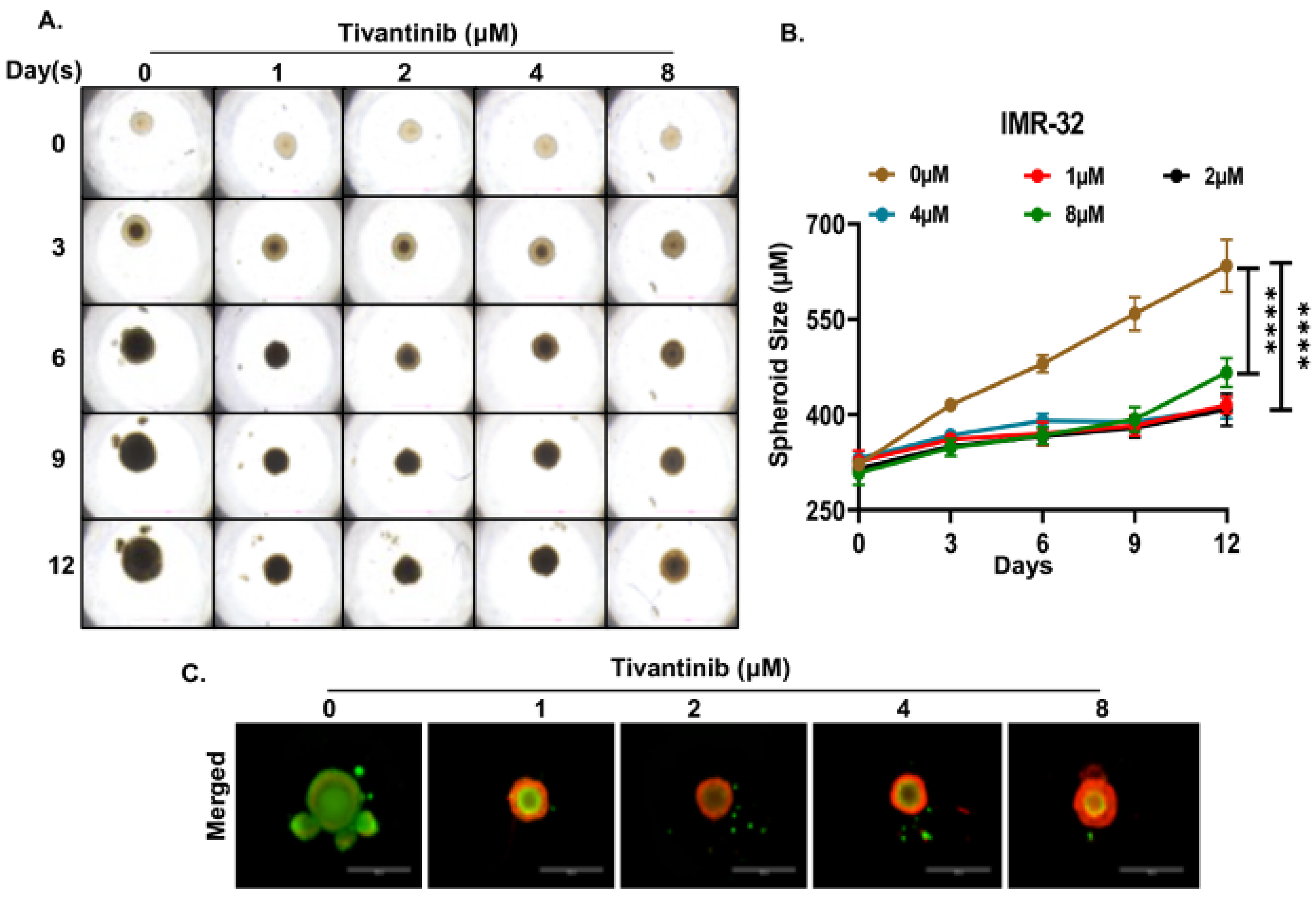 Pharmaceuticals 17 01350 g007 Pharmaceuticals 17 01350 g007