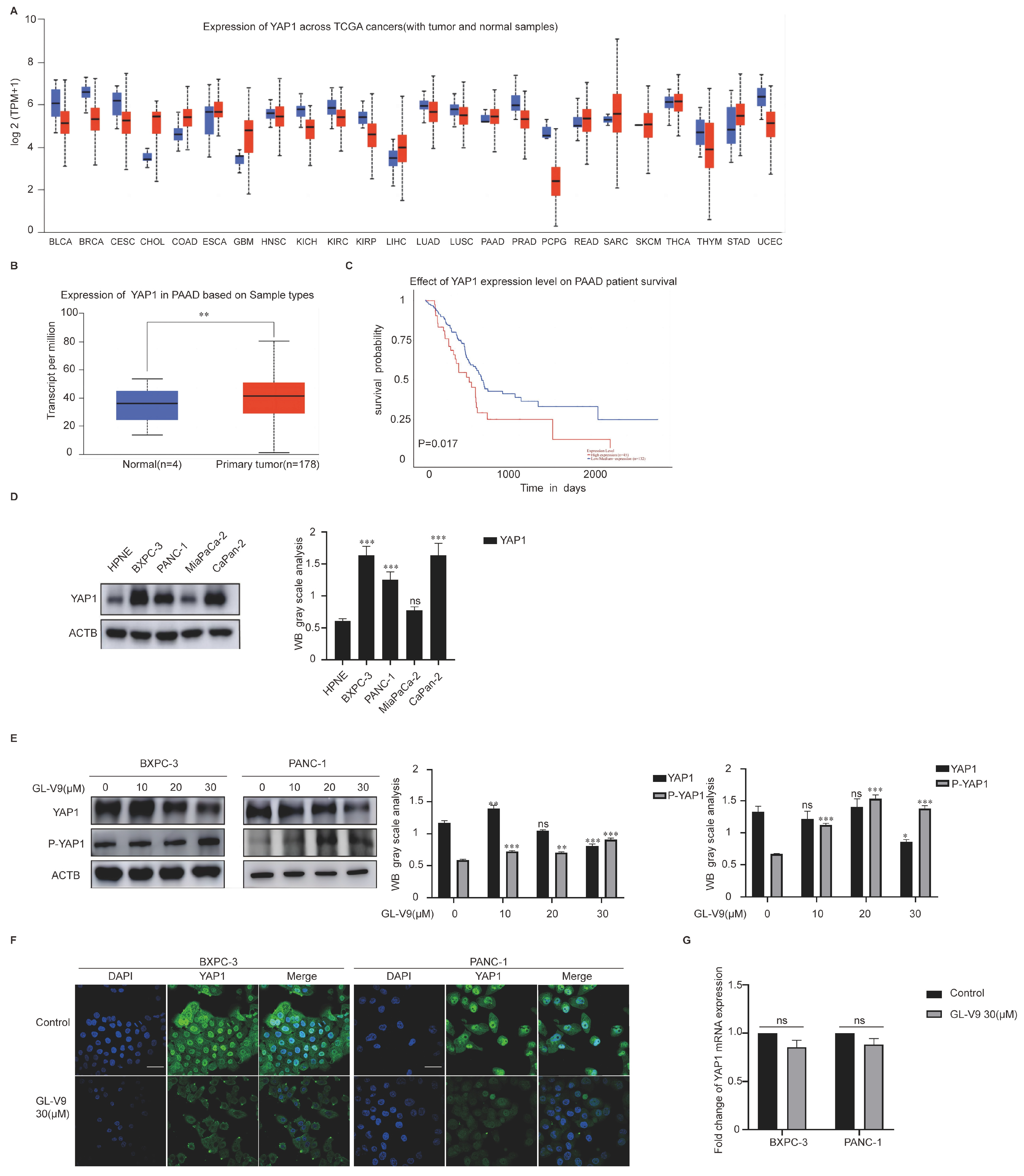 Pharmaceuticals 17 01352 g002