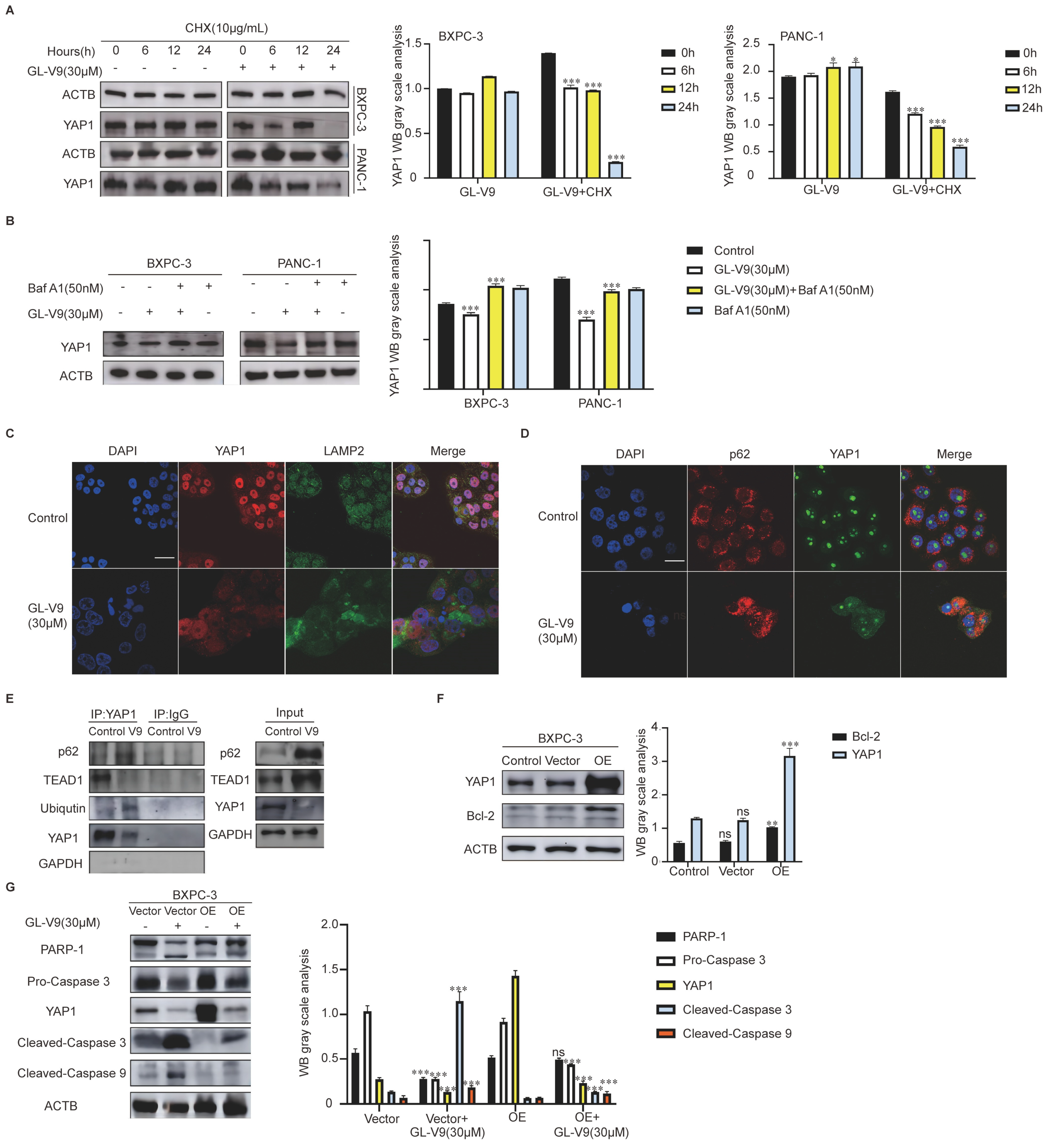 Pharmaceuticals 17 01352 g003