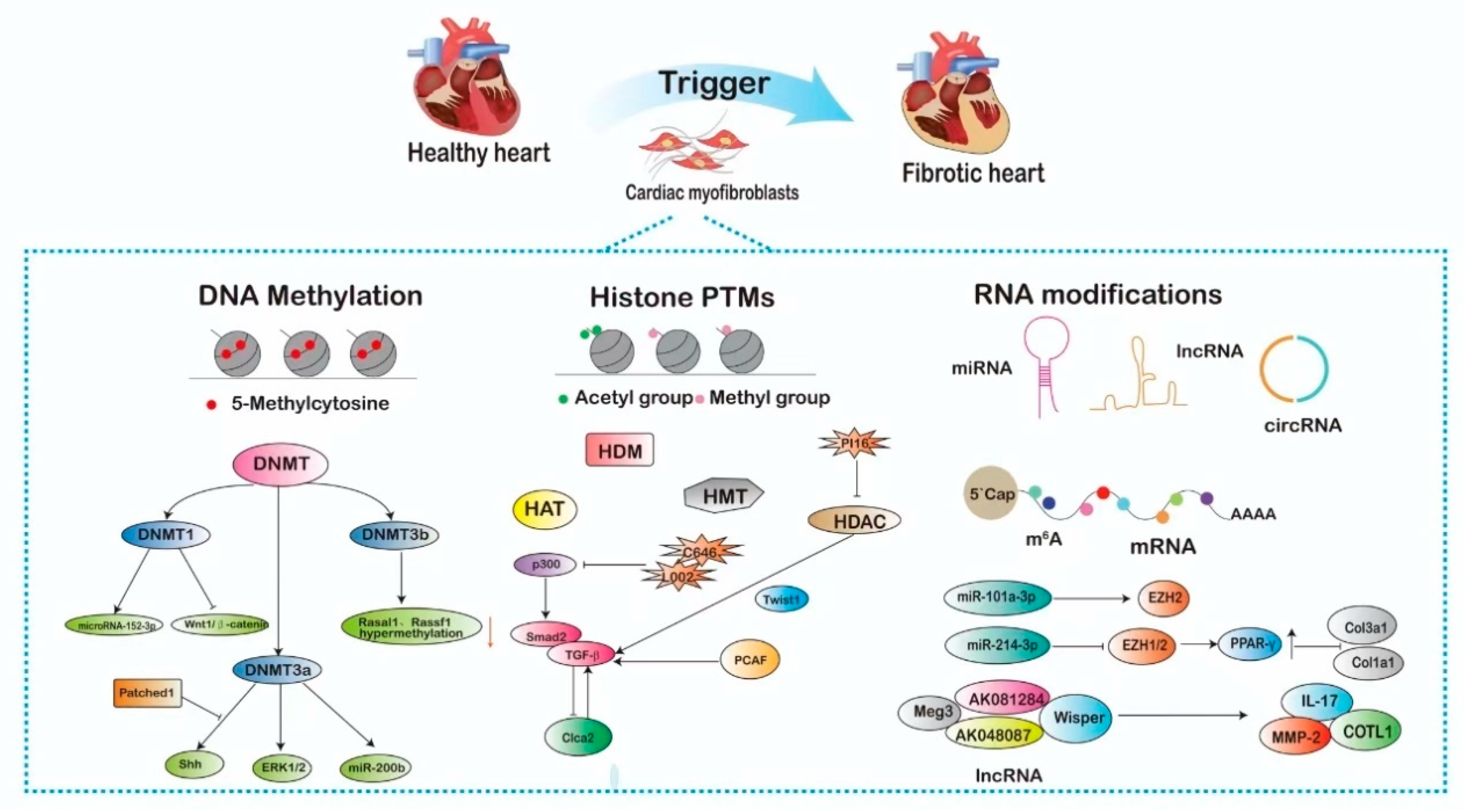Pharmaceuticals 17 01353 g001
