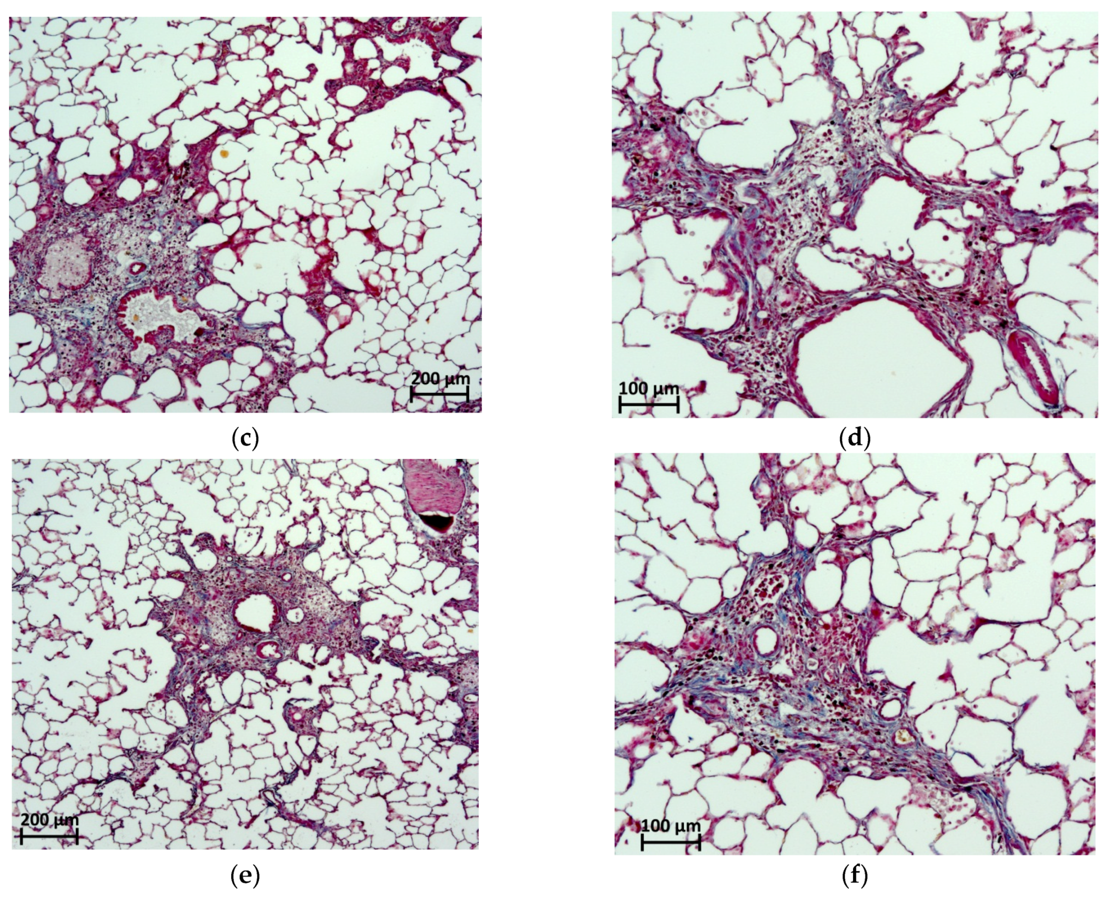 Pharmaceuticals 17 01360 g005b