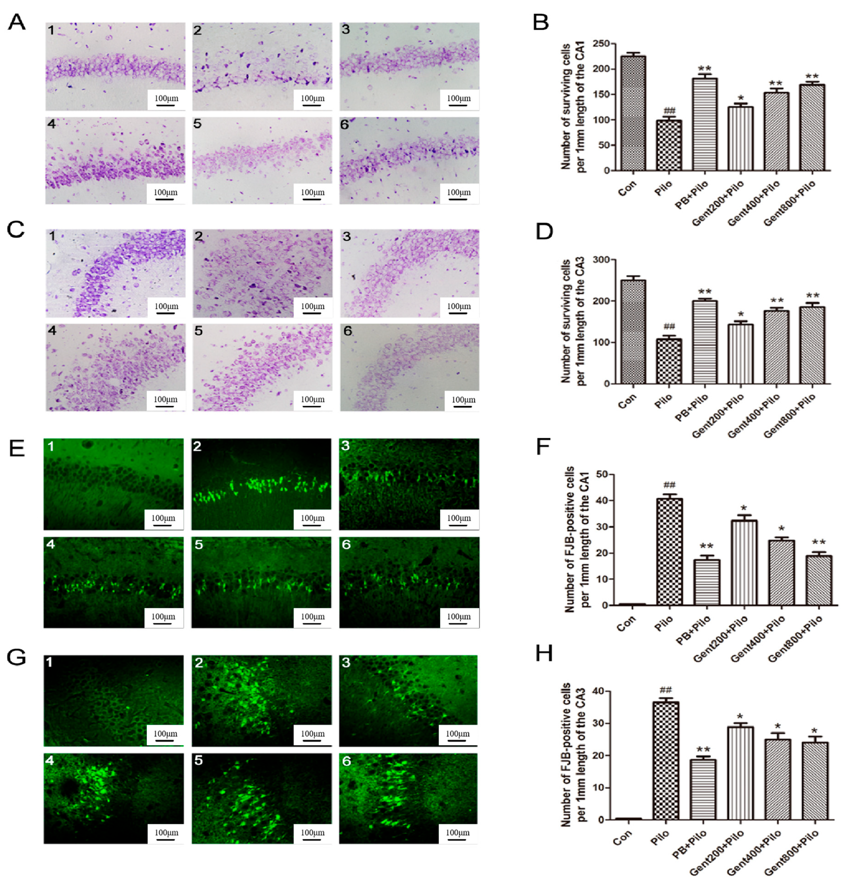 Pharmaceuticals 17 01413 g004