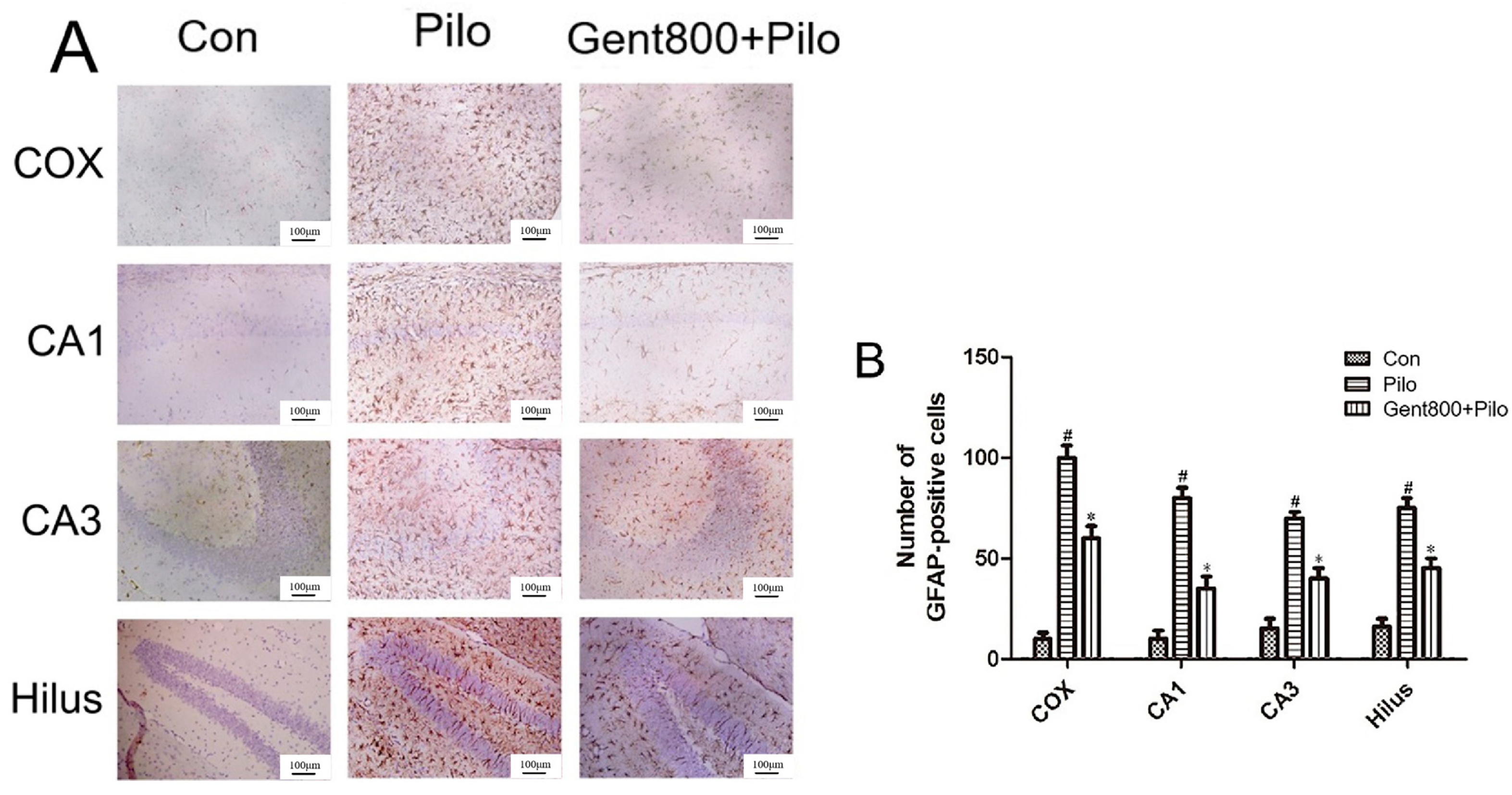 Pharmaceuticals 17 01413 g005