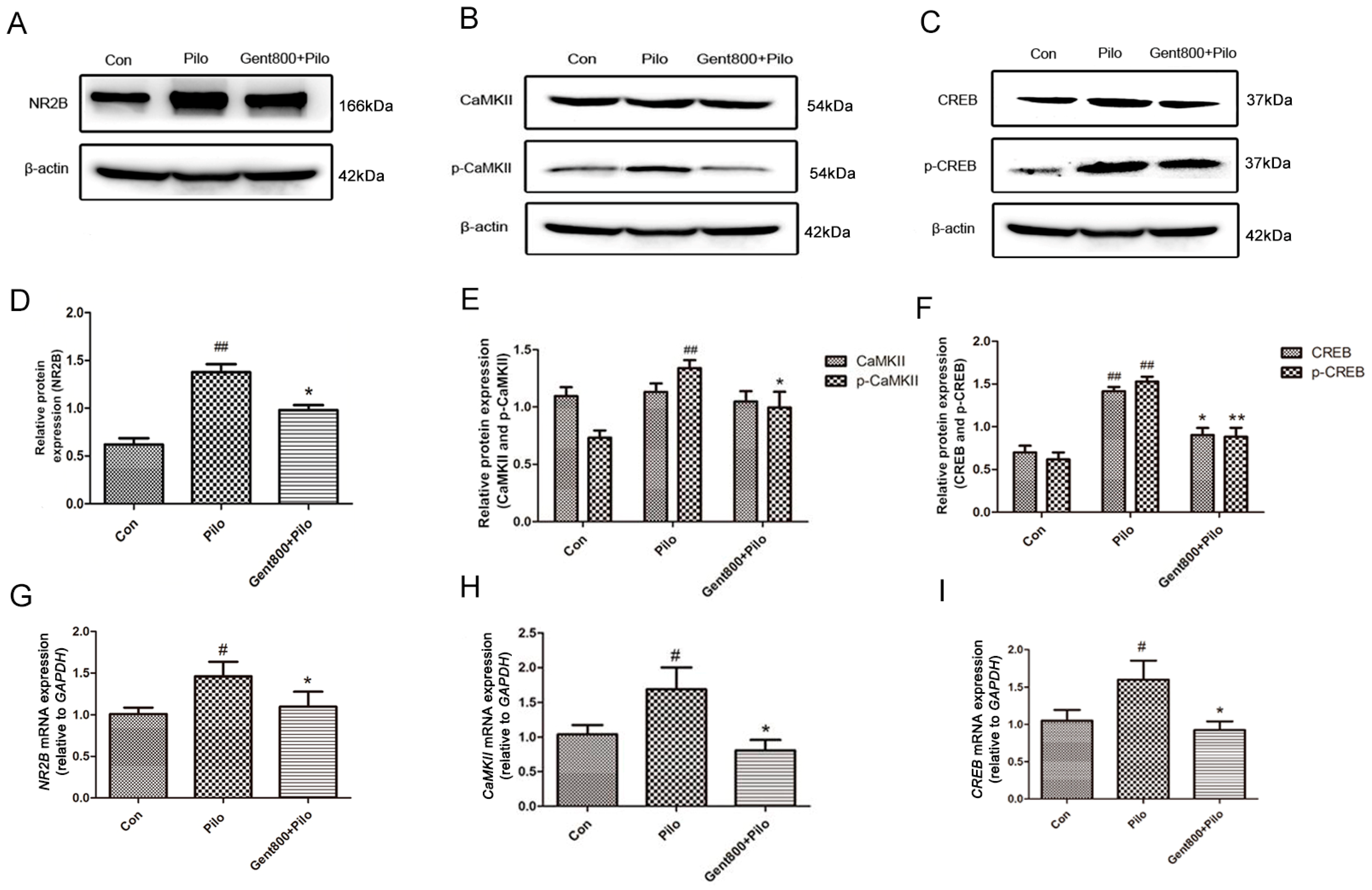 Pharmaceuticals 17 01413 g006