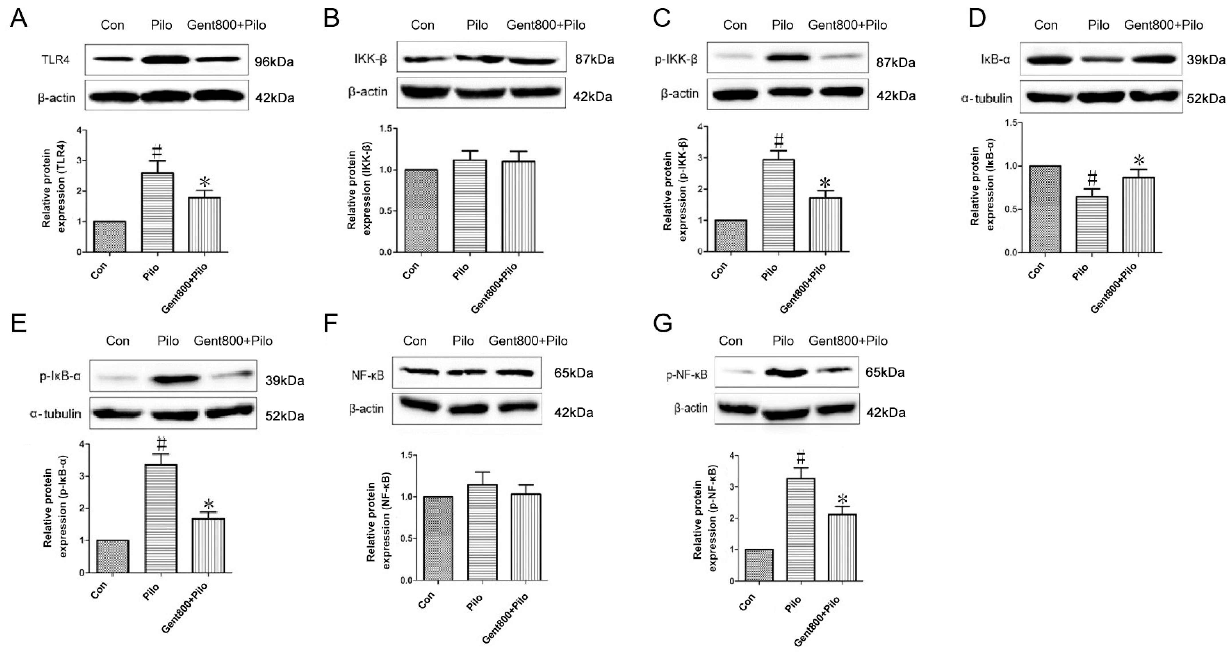 Pharmaceuticals 17 01413 g008