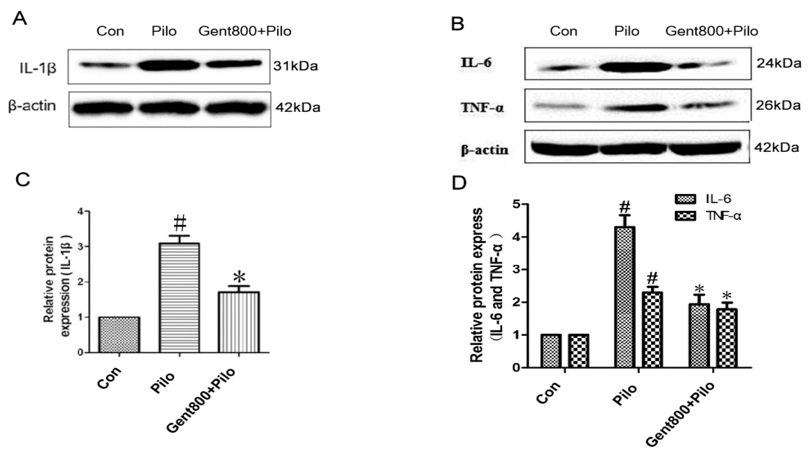 Pharmaceuticals 17 01413 g009
