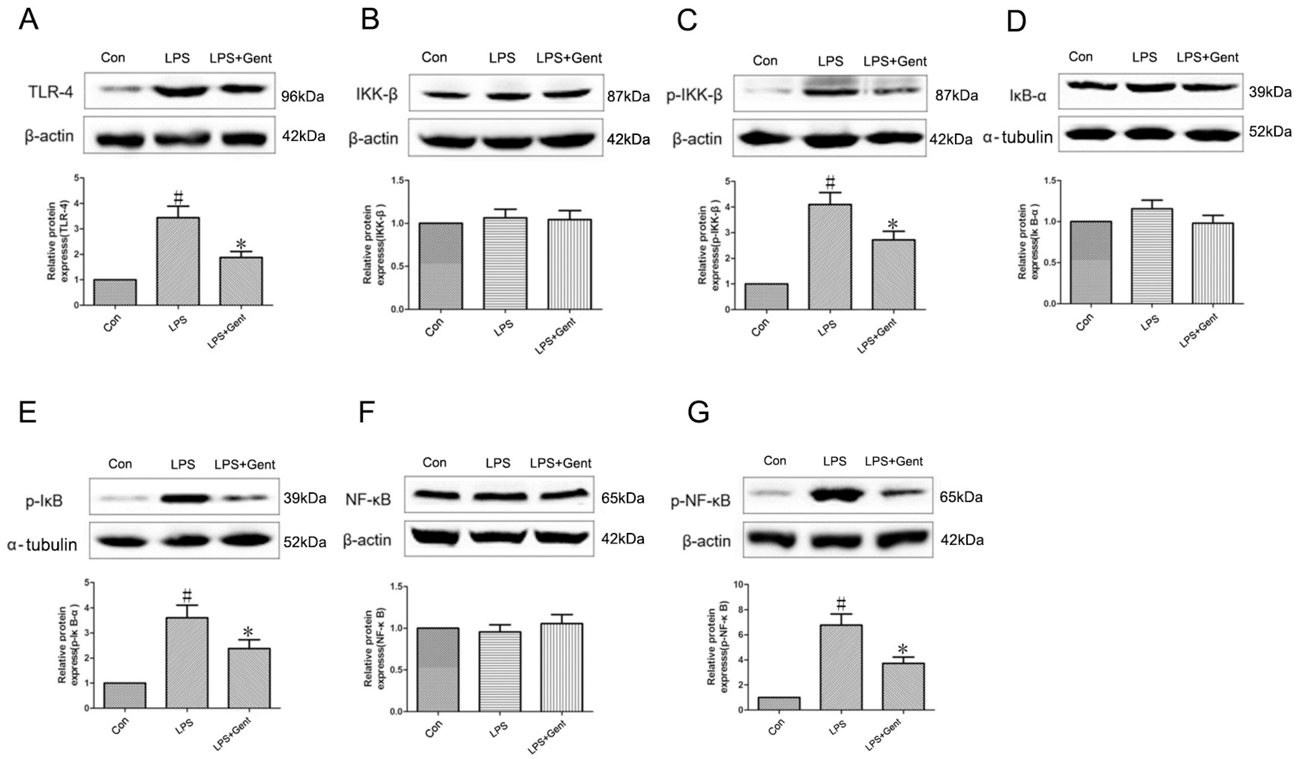 Pharmaceuticals 17 01413 g011