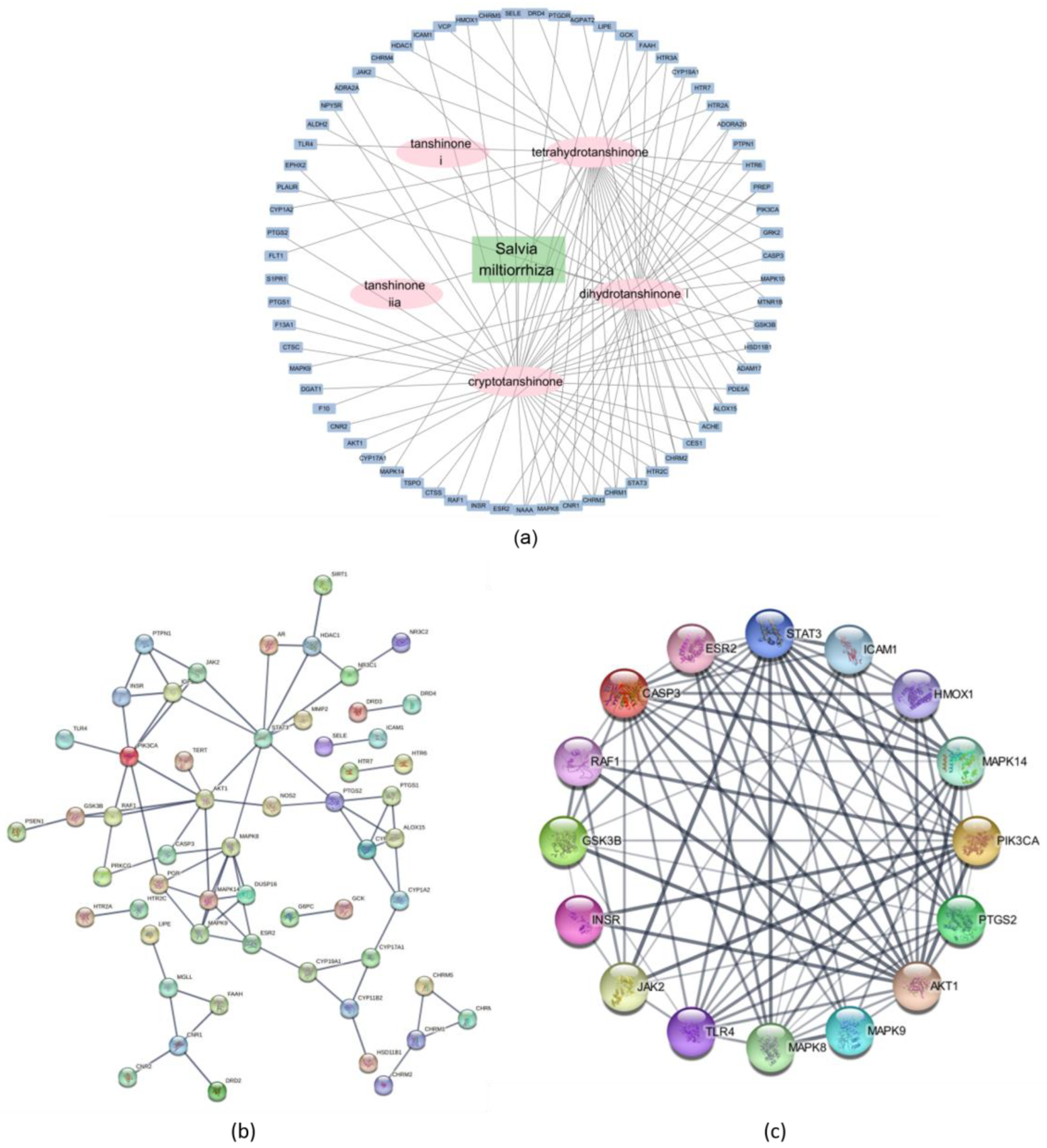 Pharmaceuticals 17 01426 g008