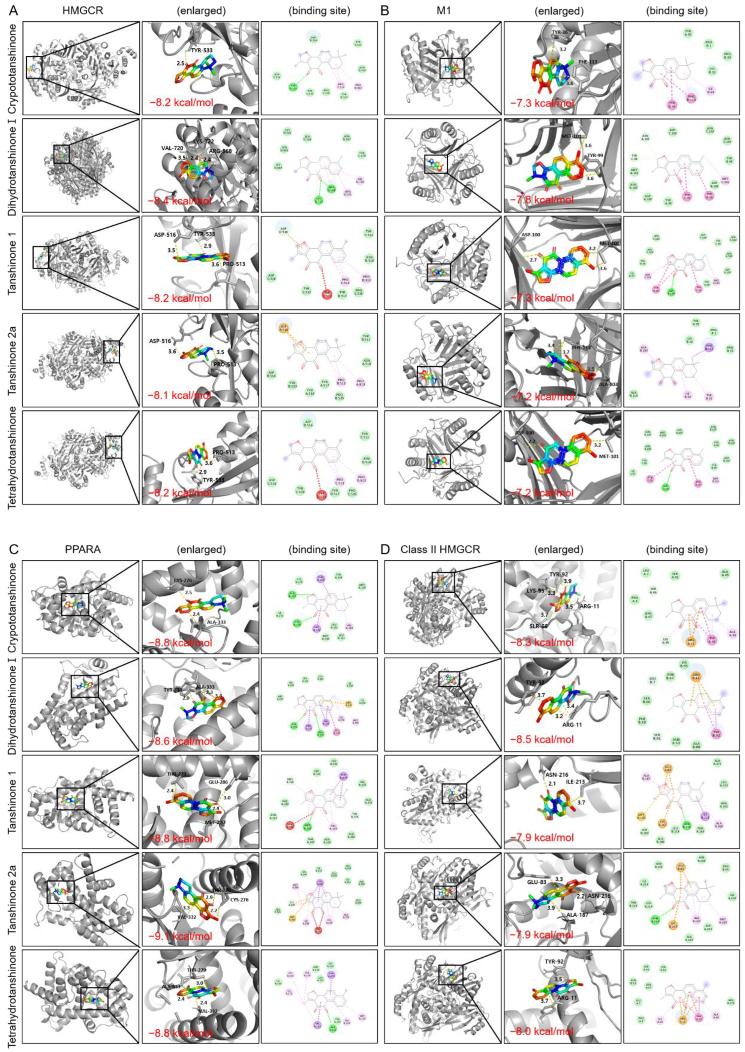 Pharmaceuticals 17 01426 g010a