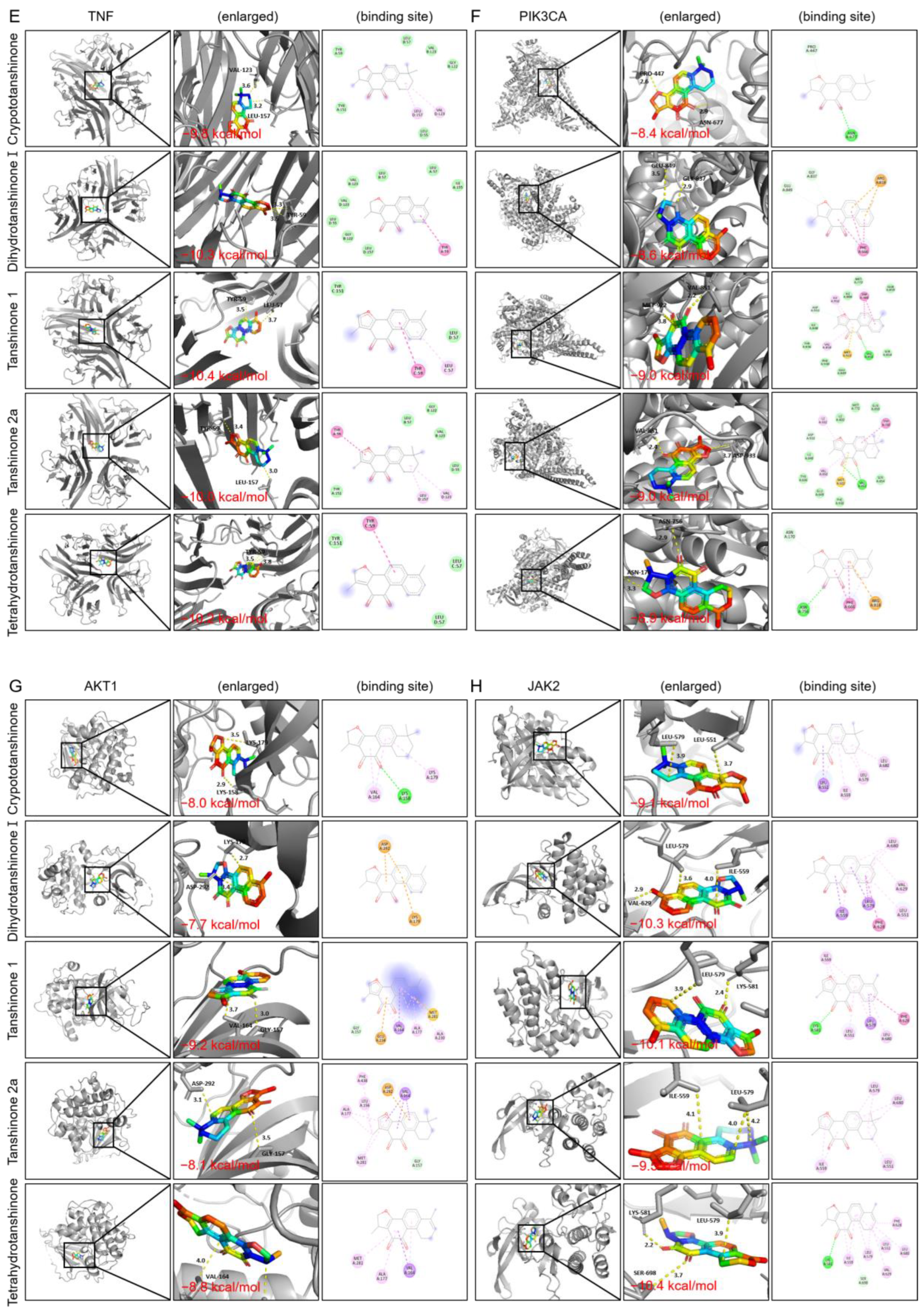 Pharmaceuticals 17 01426 g010b