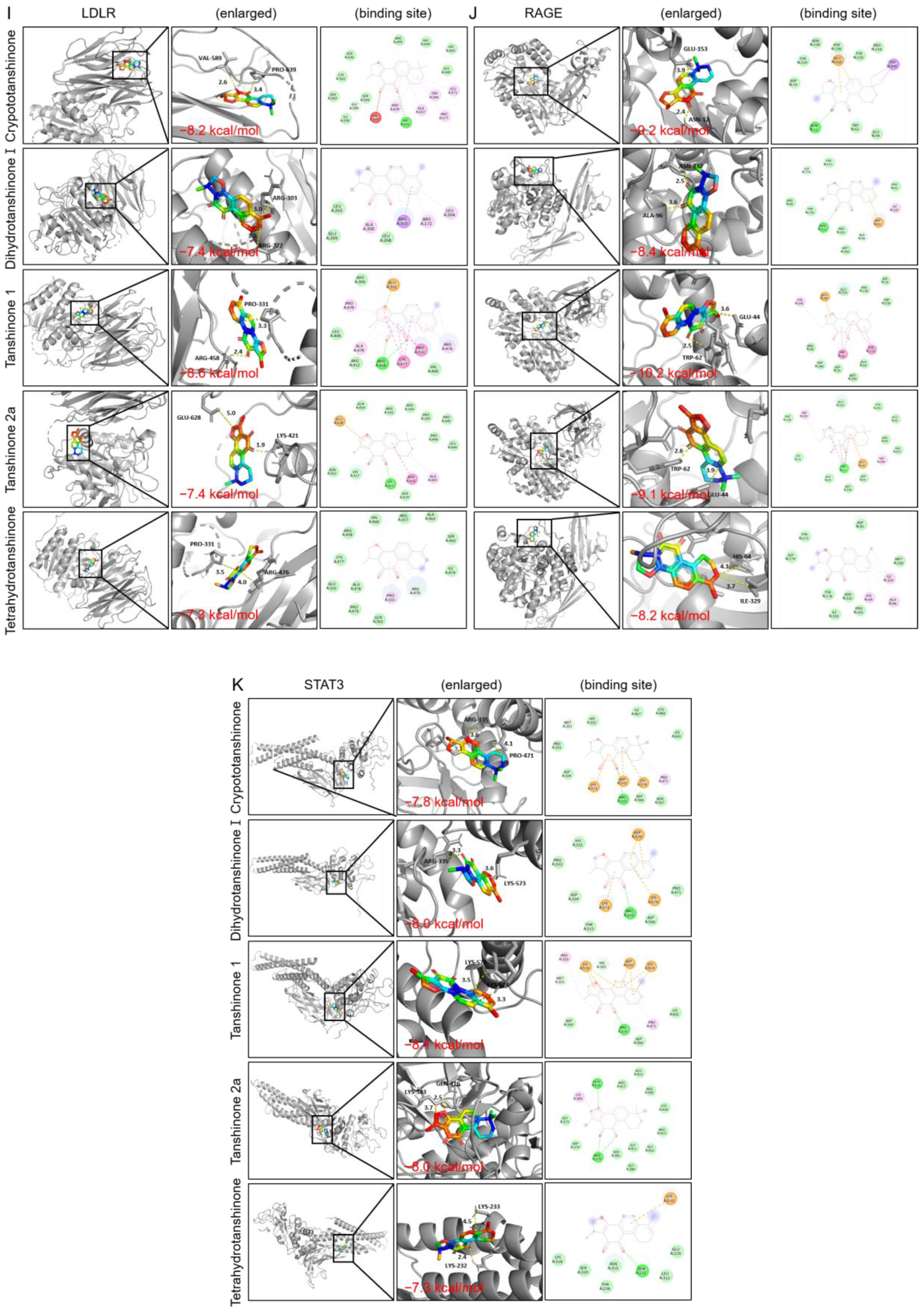 Pharmaceuticals 17 01426 g010c