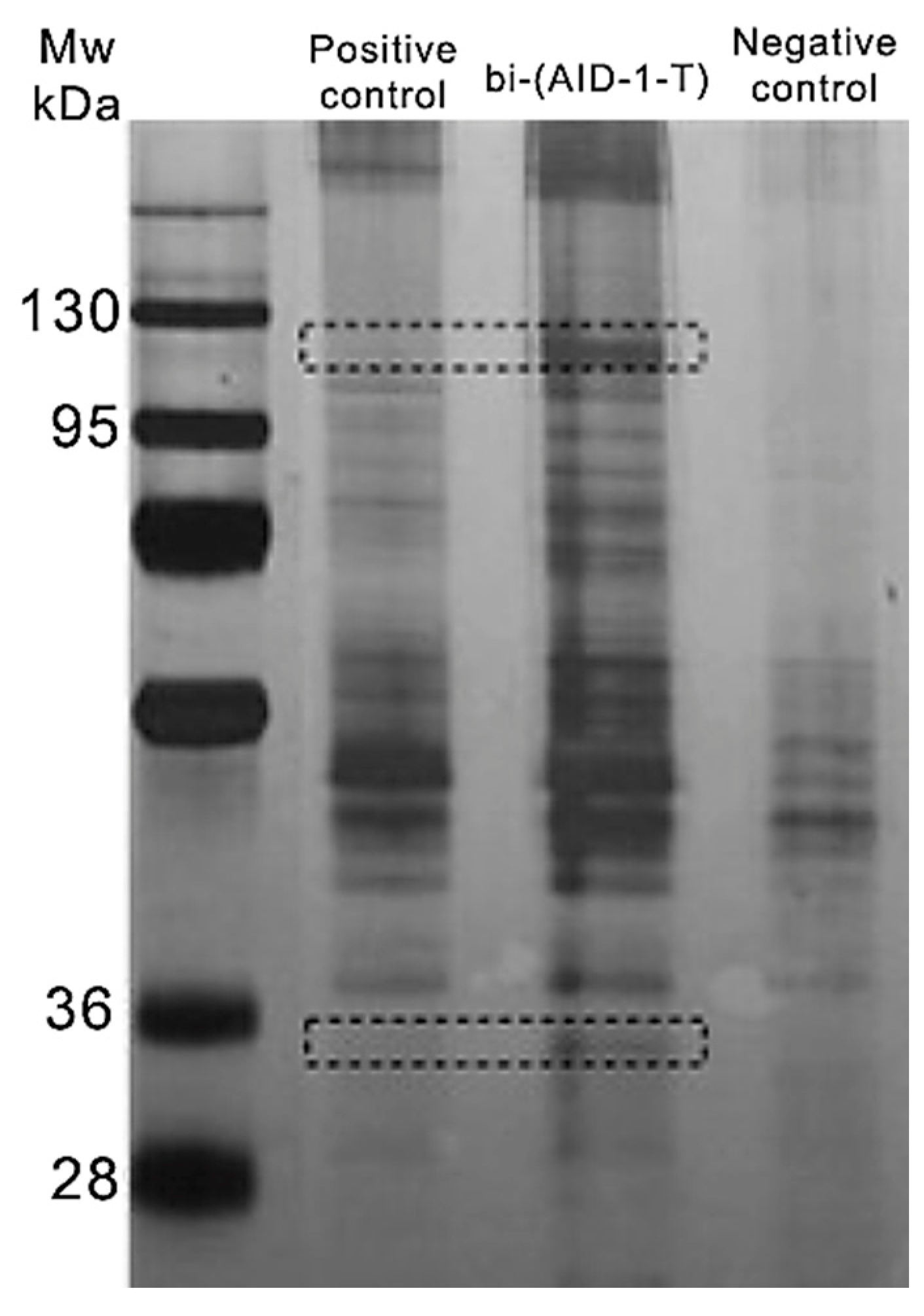 Pharmaceuticals 17 01435 g001