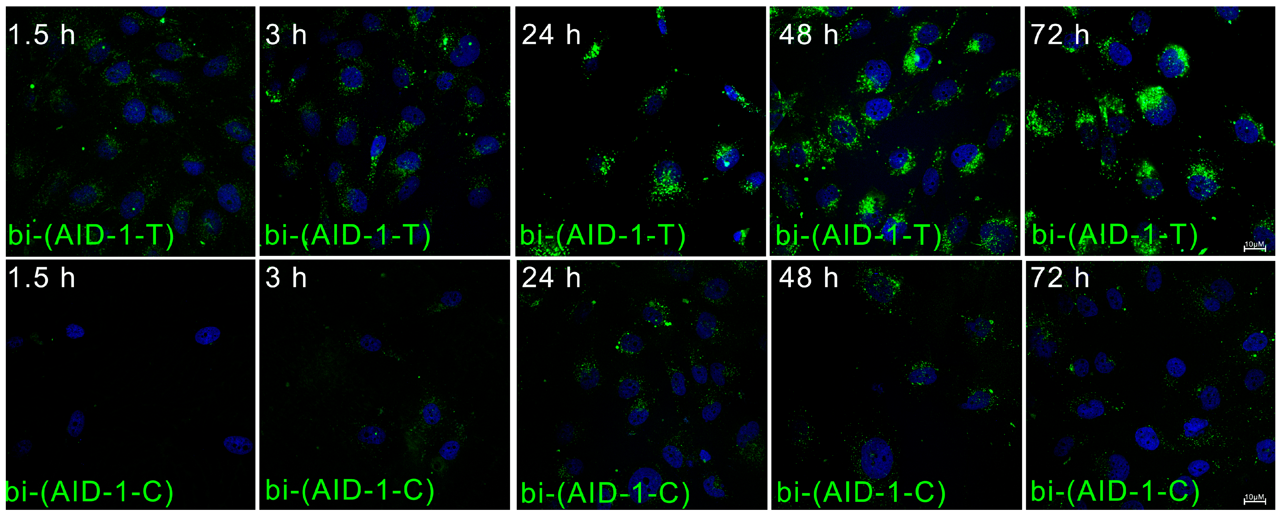 Pharmaceuticals 17 01435 g003