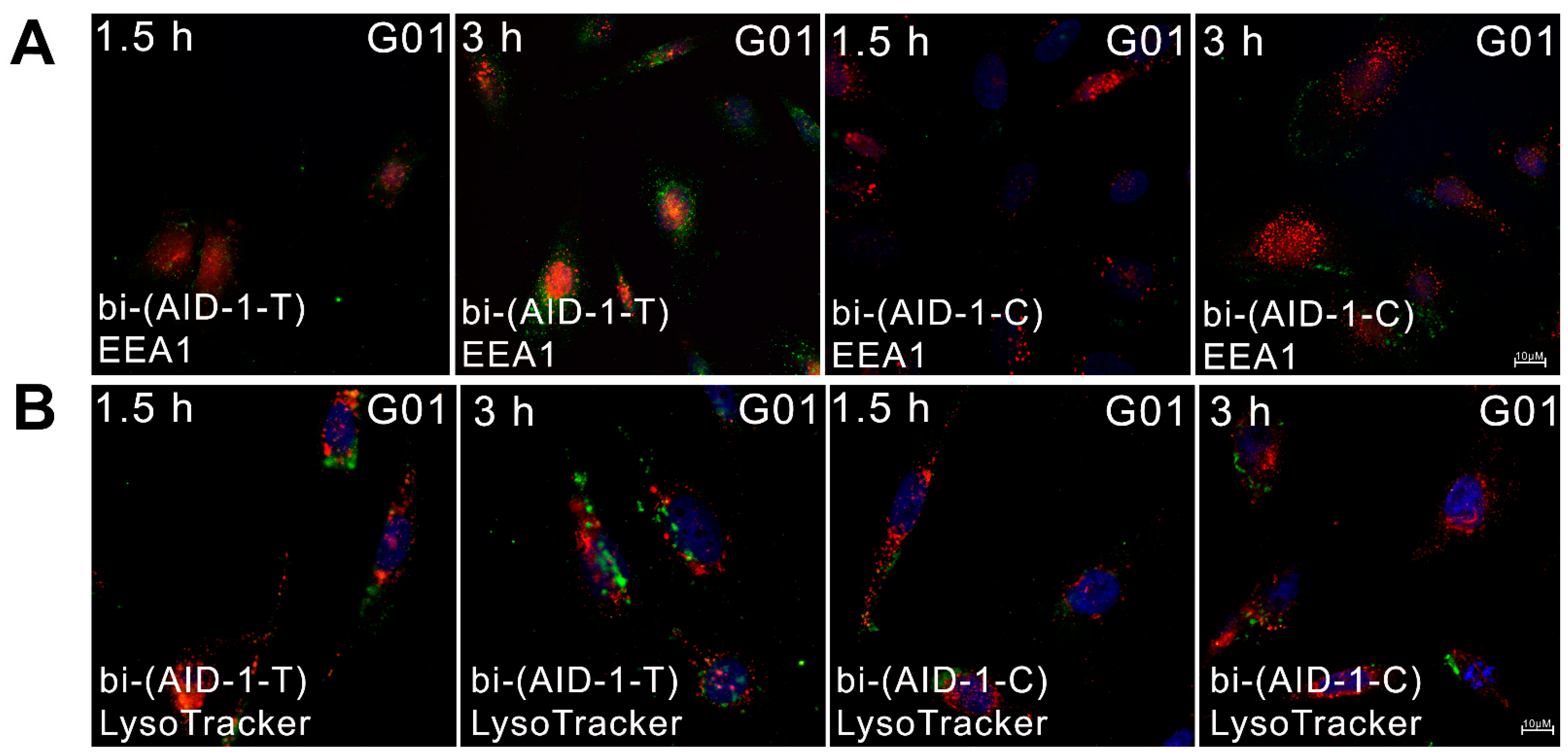 Pharmaceuticals 17 01435 g005