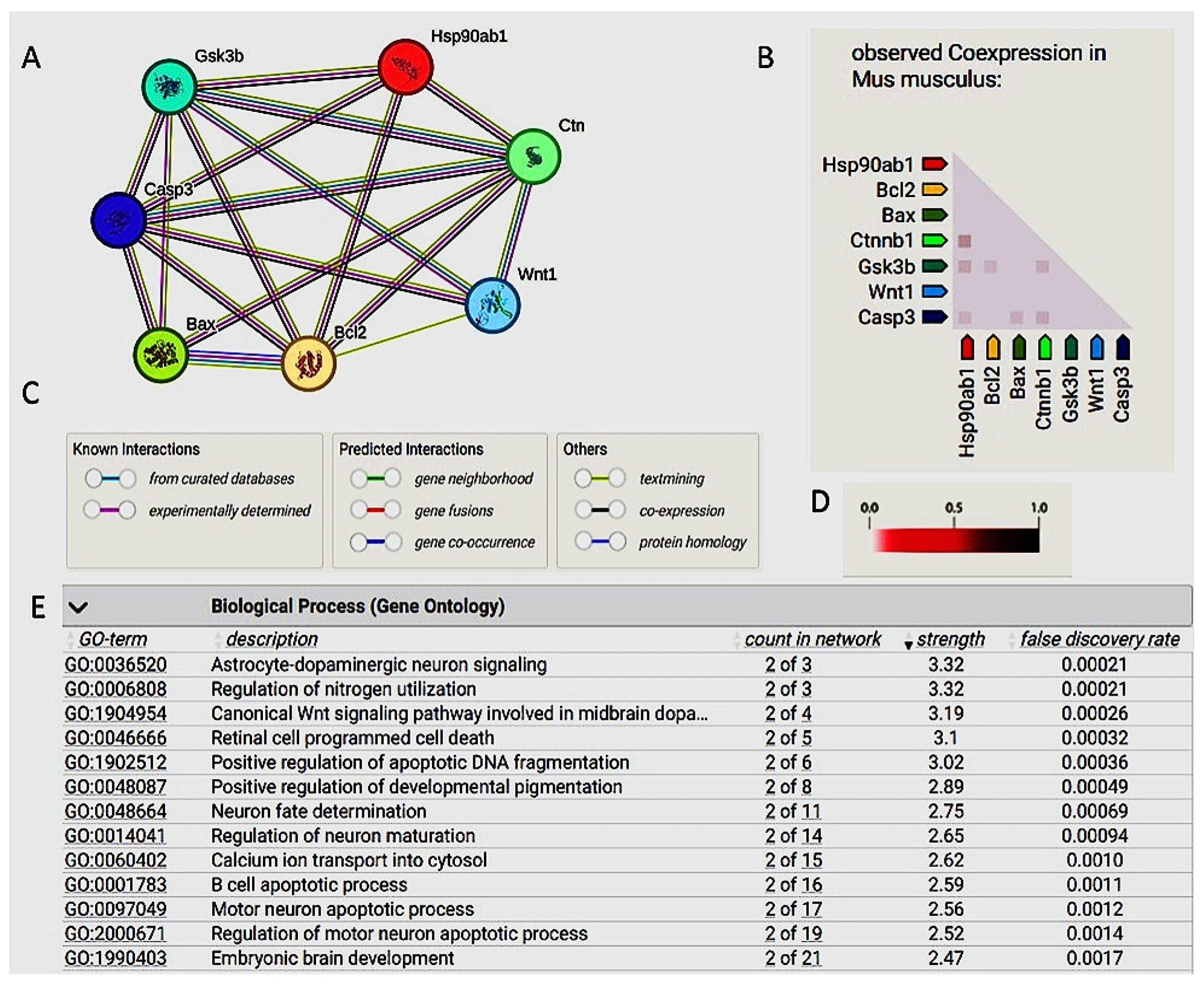 Pharmaceuticals 17 01436 g005