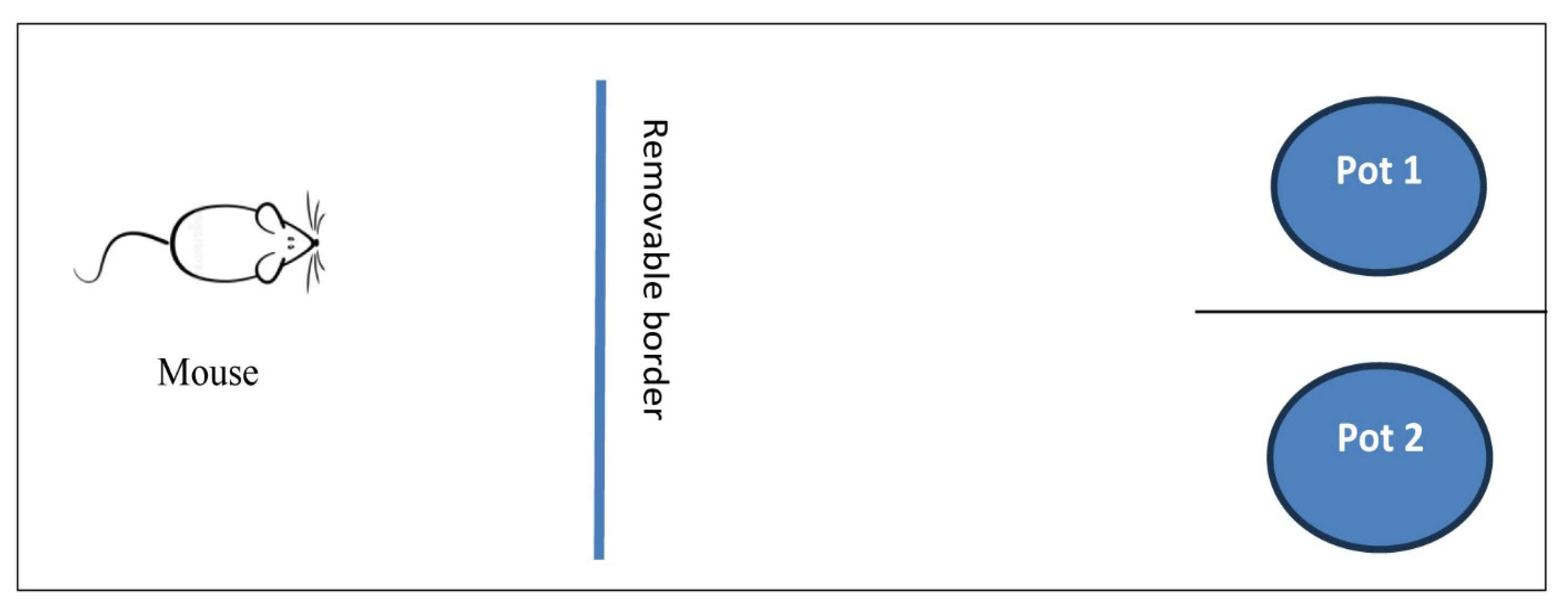 Pharmaceuticals 17 01436 g012