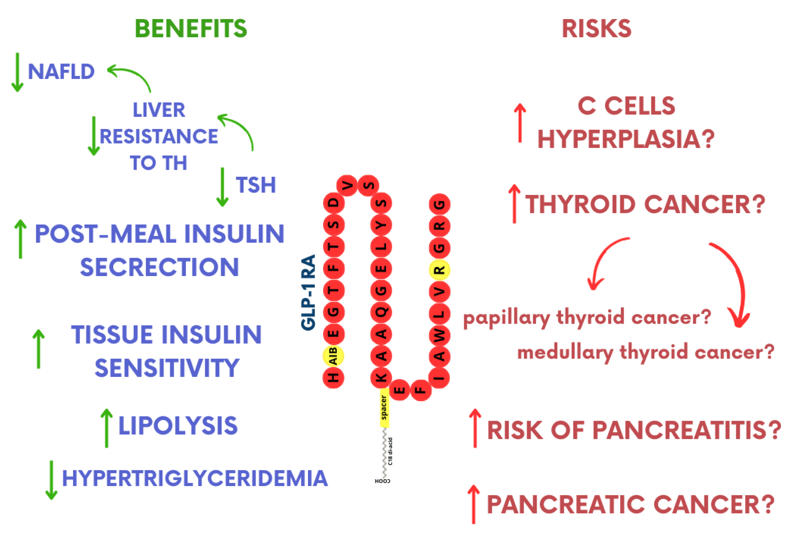 Pharmaceuticals 17 01470 g004