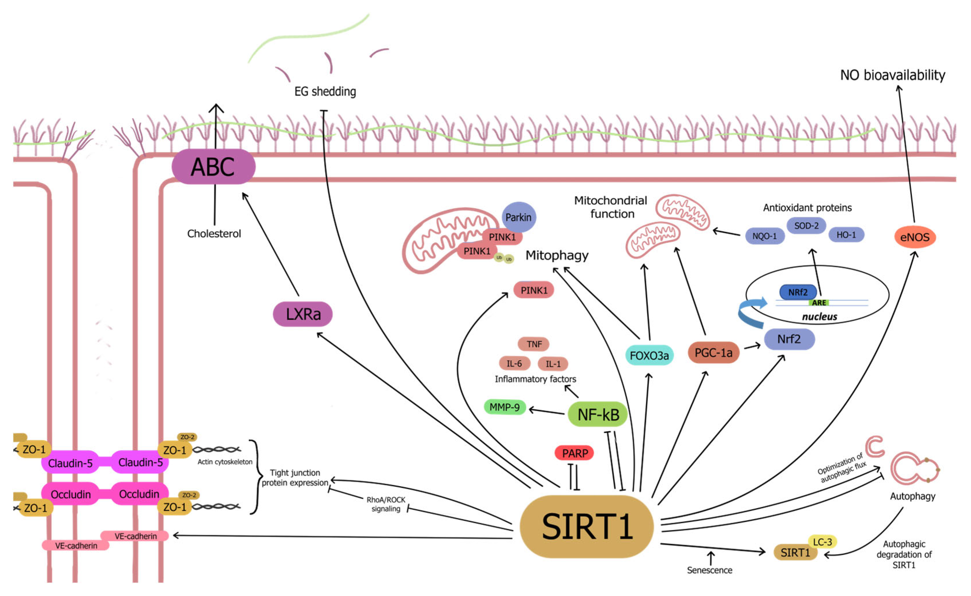 Pharmaceuticals 17 01495 g001