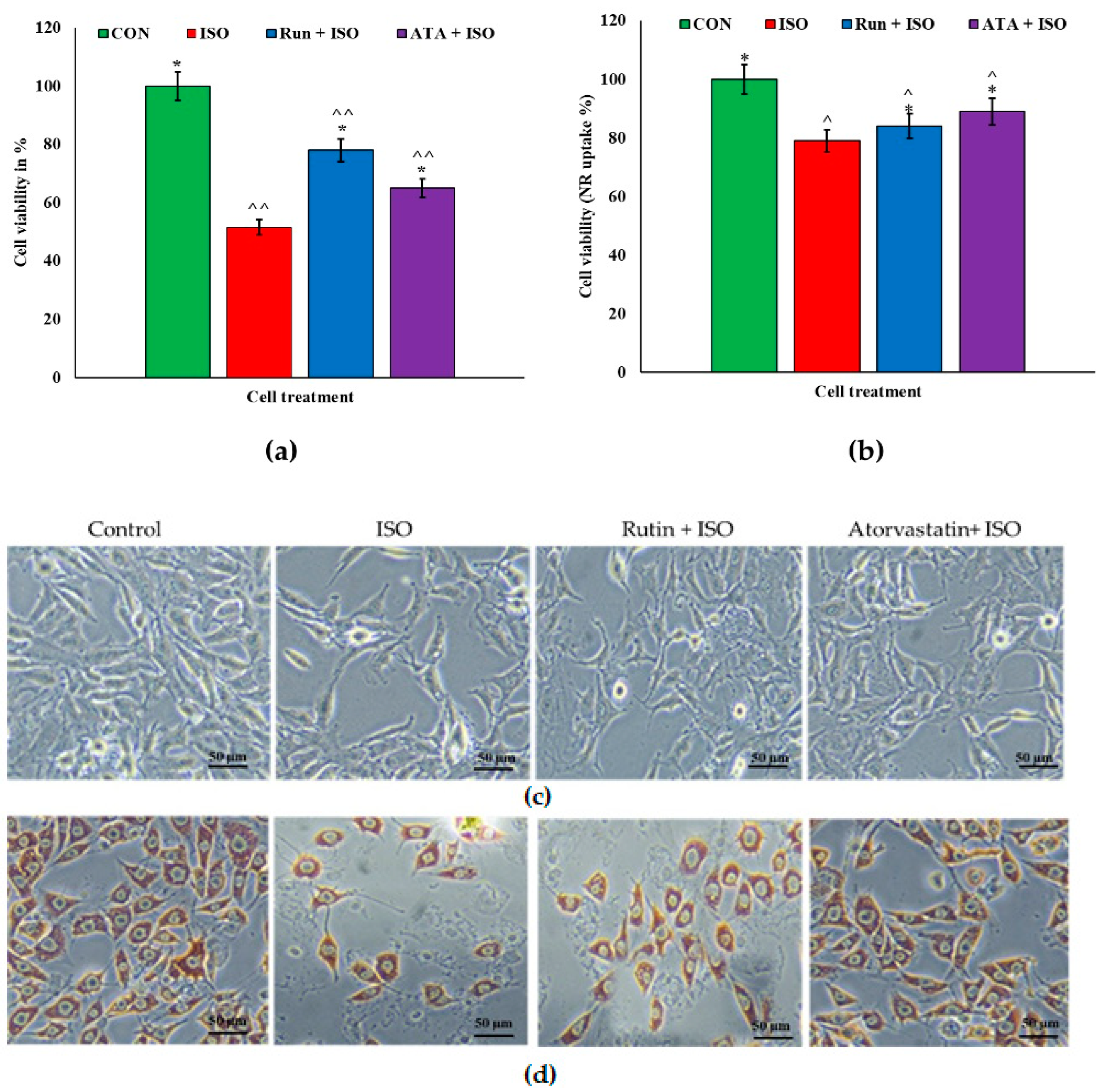 Pharmaceuticals 17 01523 g001