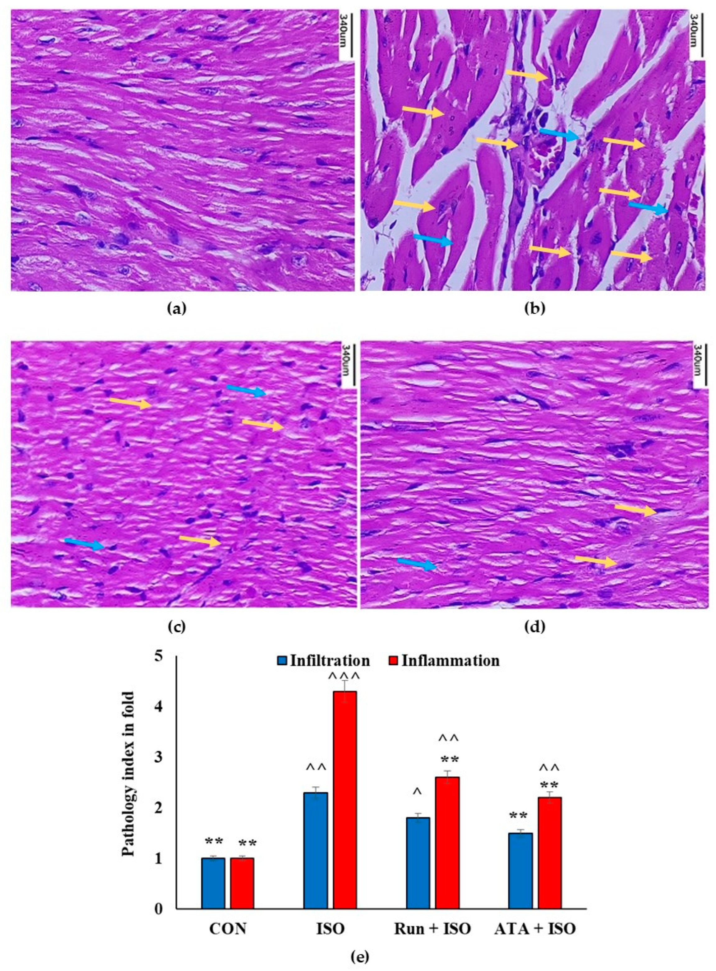 Pharmaceuticals 17 01523 g007