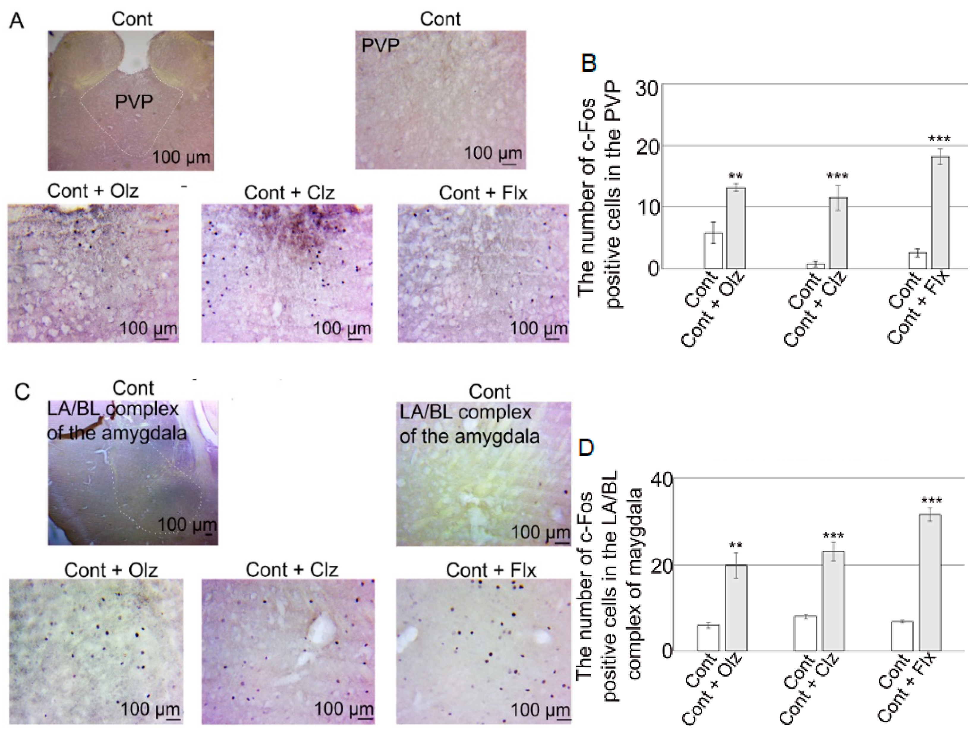 Pharmaceuticals 17 01527 g003