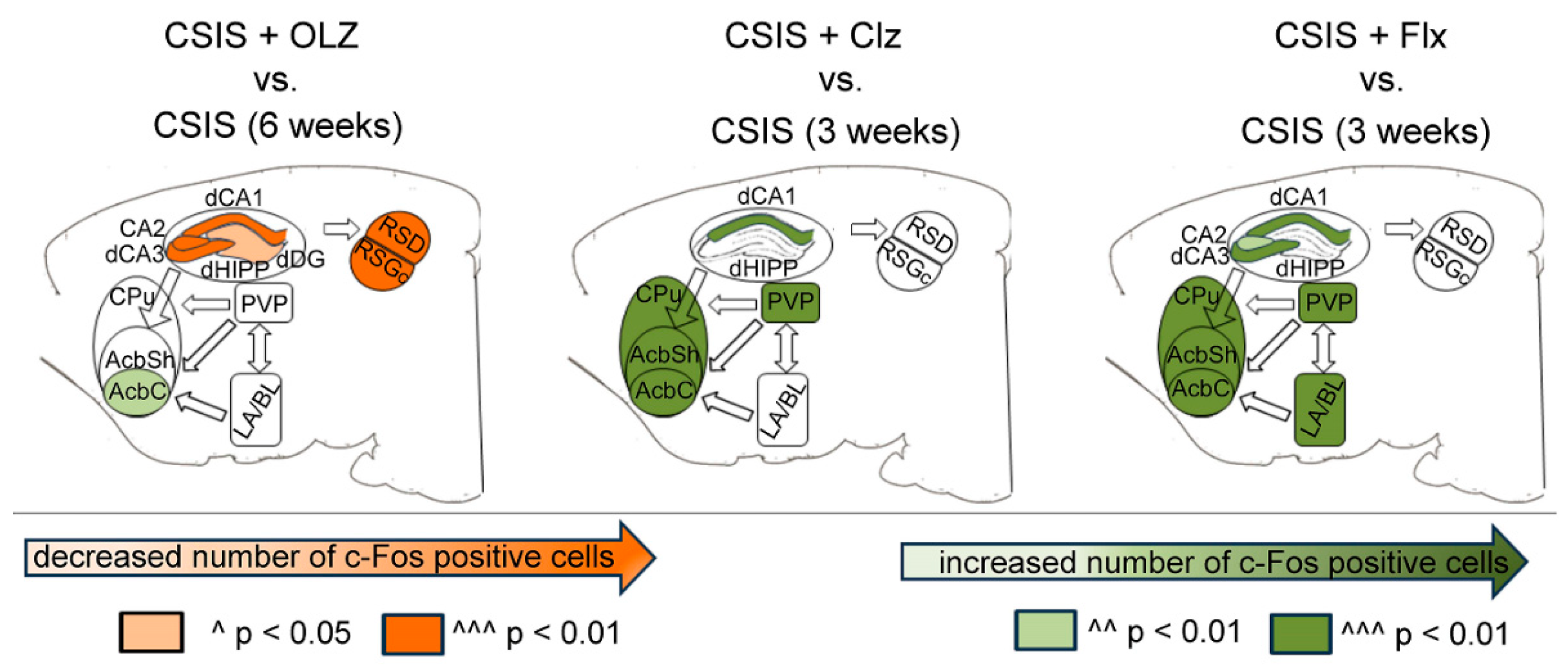 Pharmaceuticals 17 01527 g004