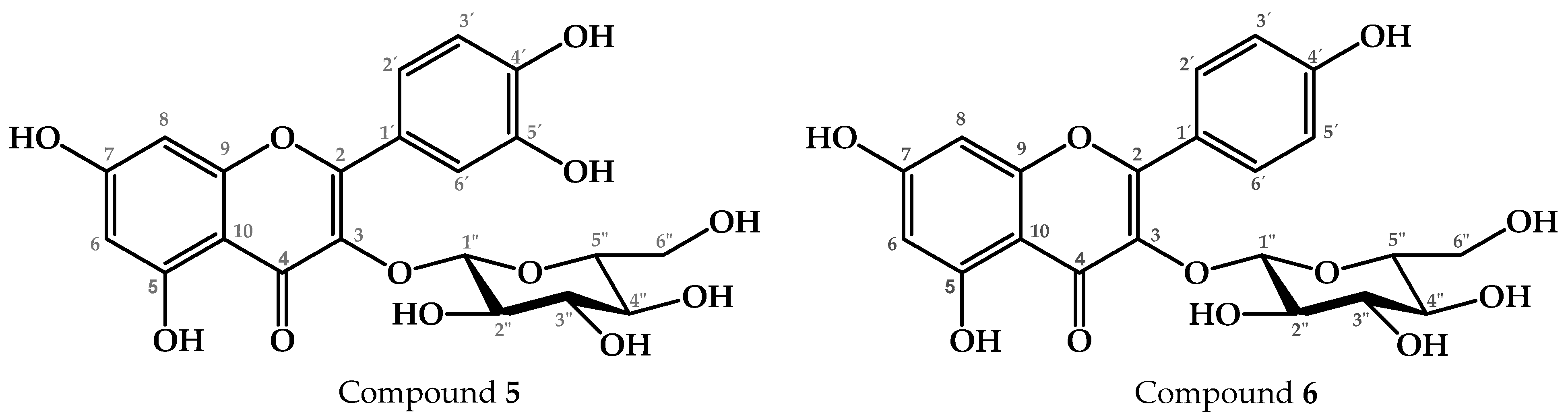 Pharmaceuticals 17 01534 g003