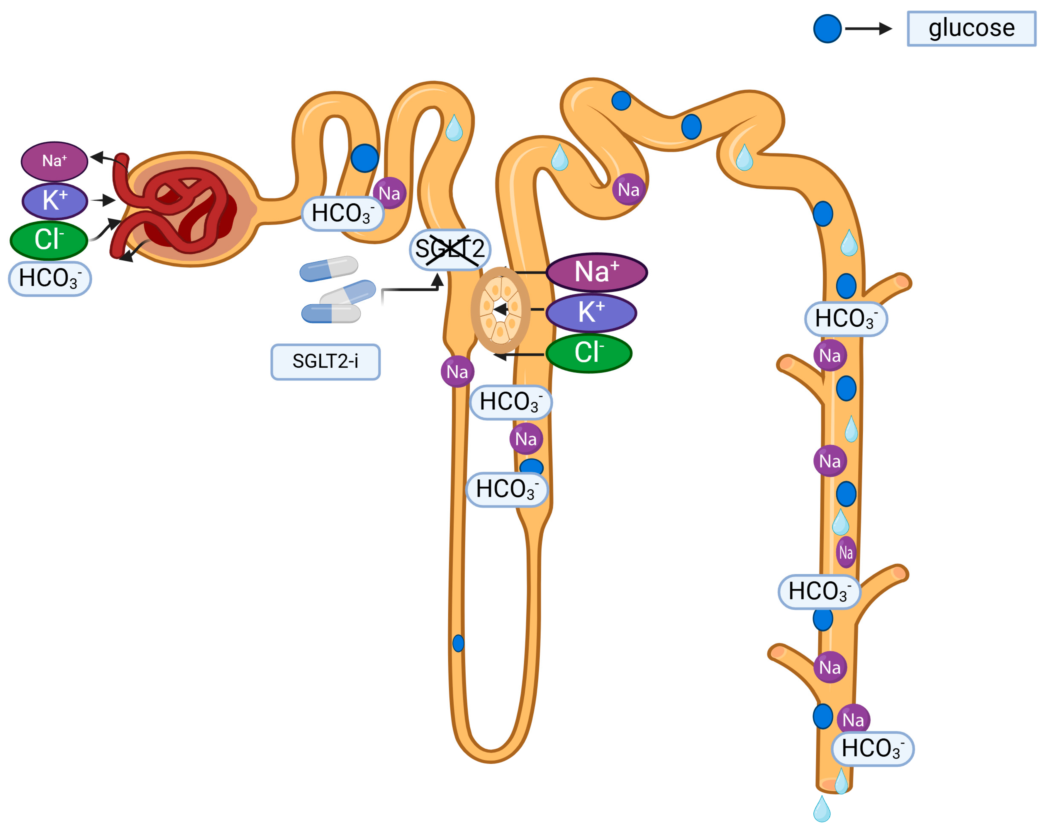 Pharmaceuticals 17 01553 g001