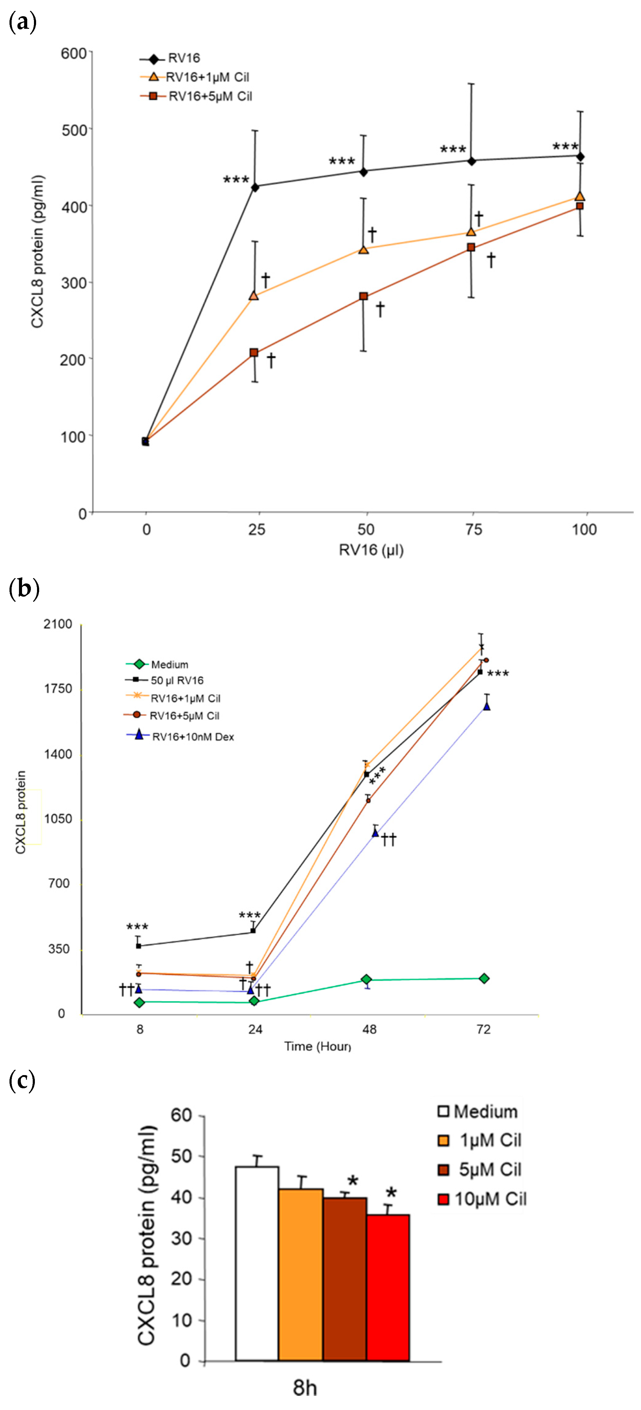 Pharmaceuticals 17 01554 g006 Pharmaceuticals 17 01554 g006