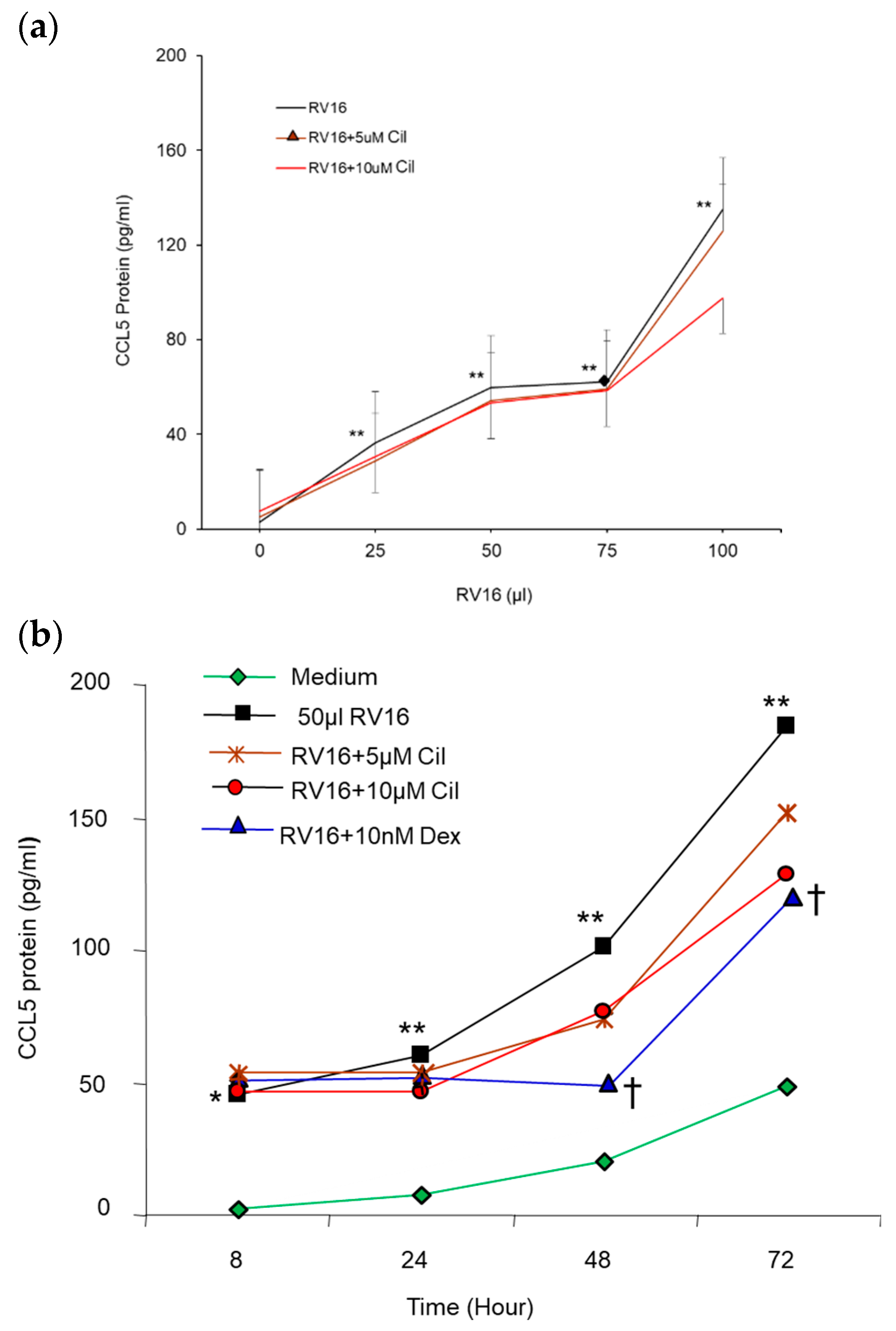 Pharmaceuticals 17 01554 g007 Pharmaceuticals 17 01554 g007