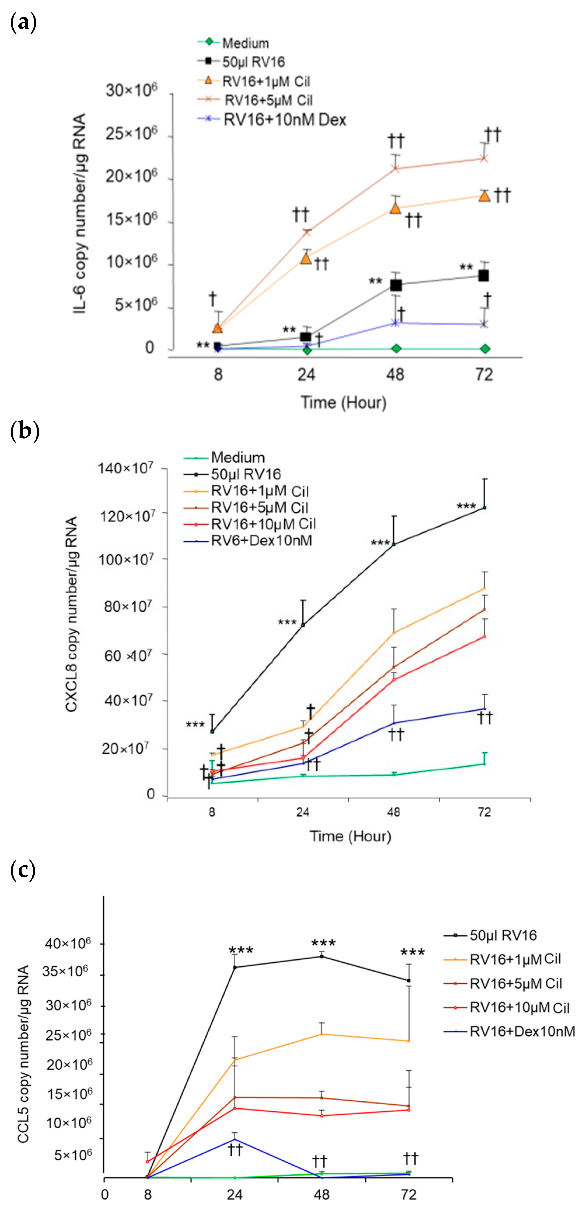 Pharmaceuticals 17 01554 g008 Pharmaceuticals 17 01554 g008